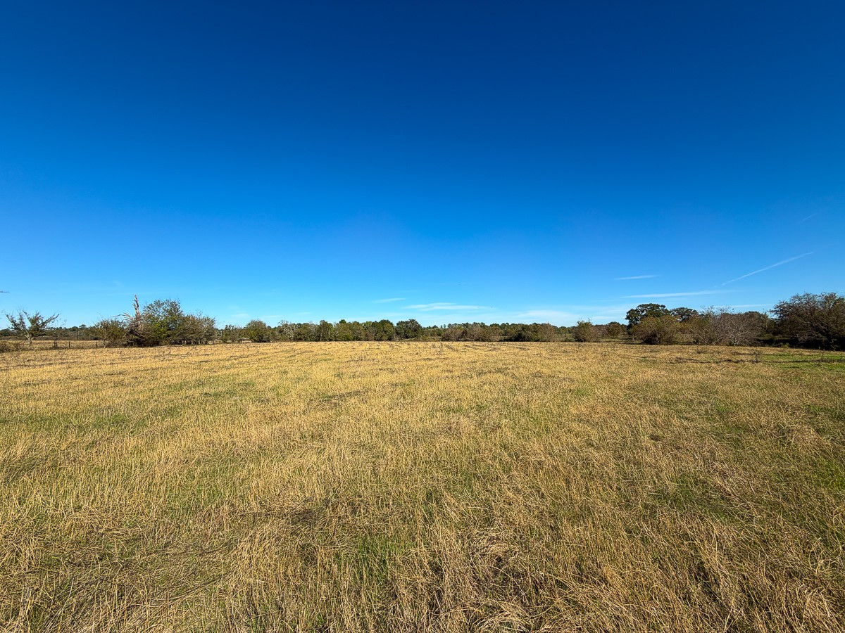 1658 State Highway 75 N Property Photo 16