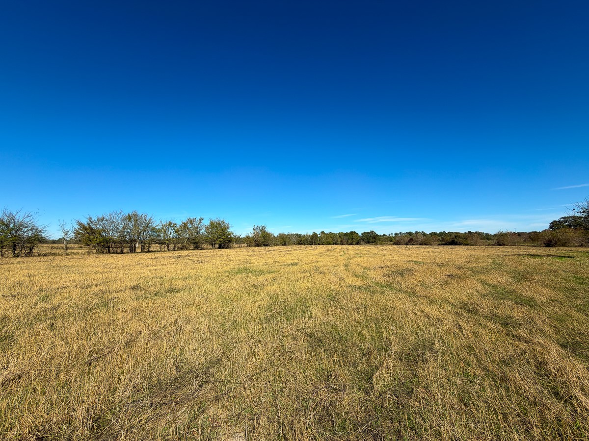 1658 State Highway 75 N Property Photo 17