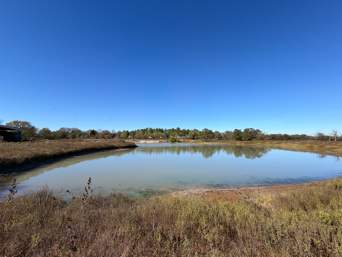 1658 State Highway 75 N Property Photo 21