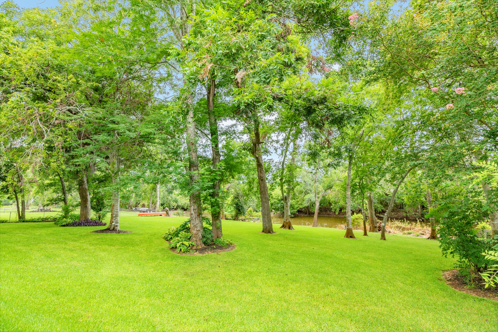 71 Rosewood Street Property Photo 7