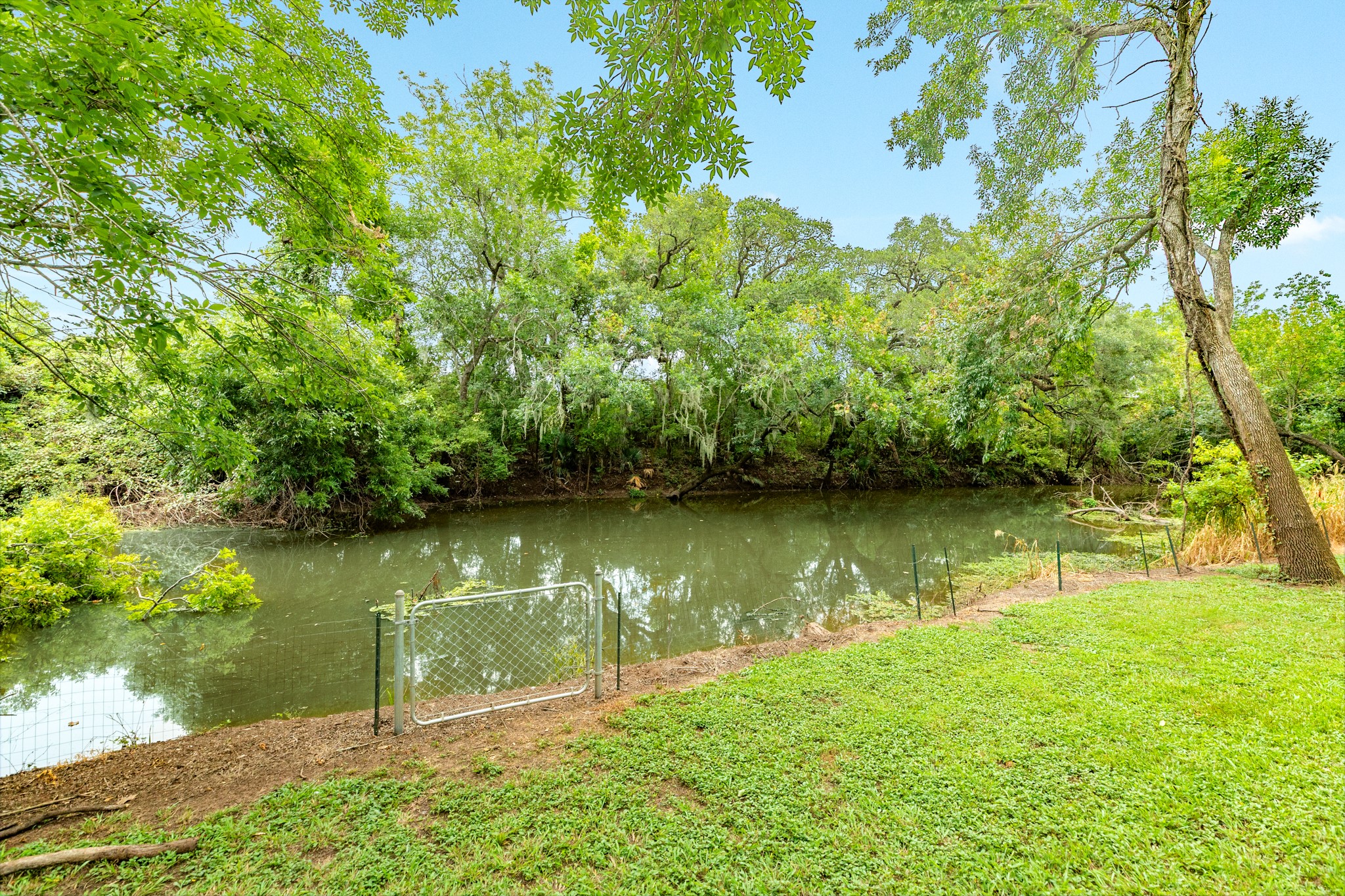 71 Rosewood Street Property Photo 8