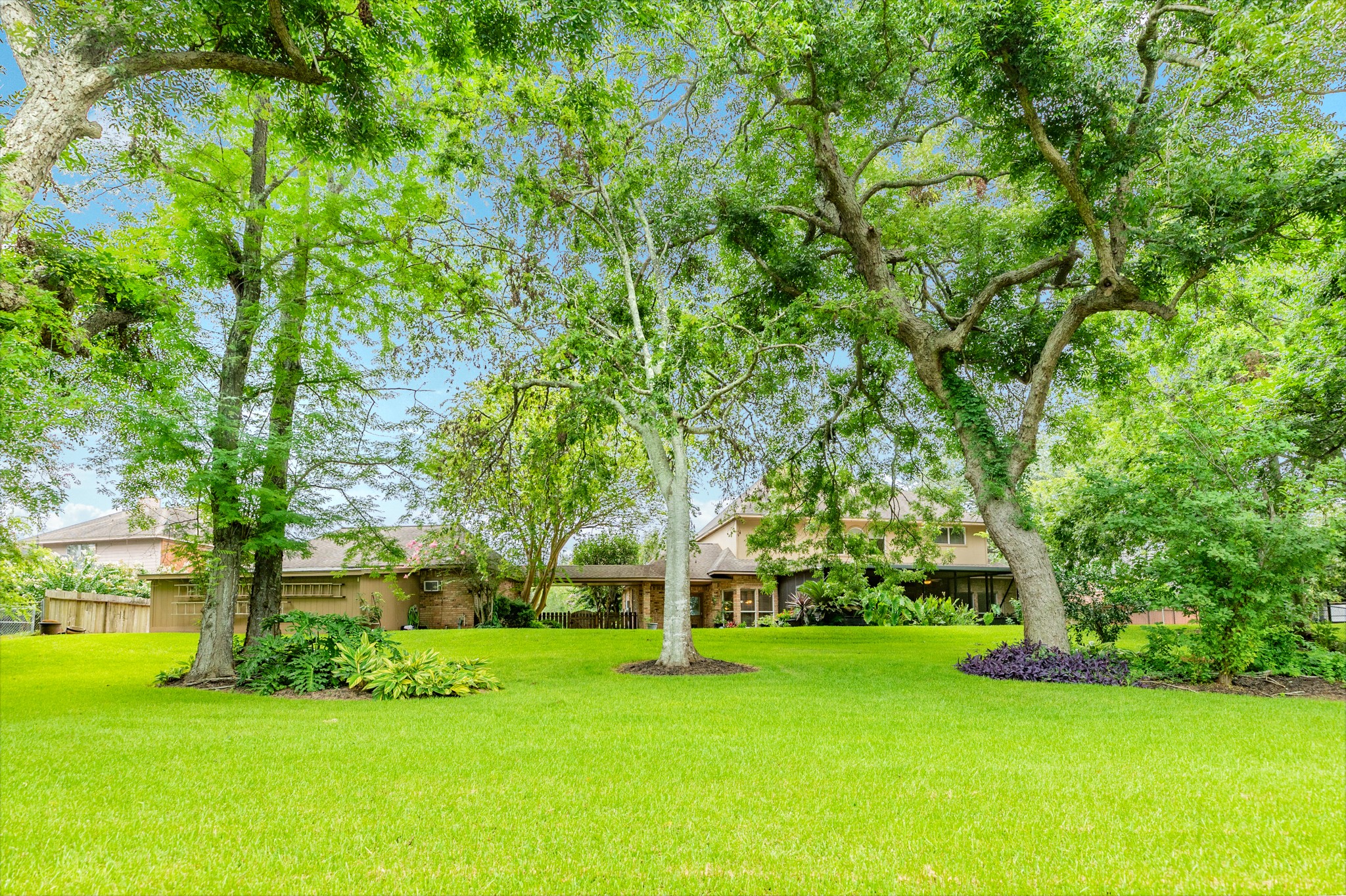 71 Rosewood Street Property Photo 9