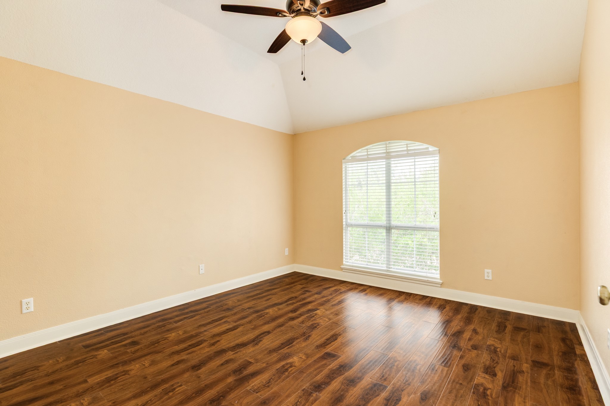 71 Rosewood Street Property Photo 26