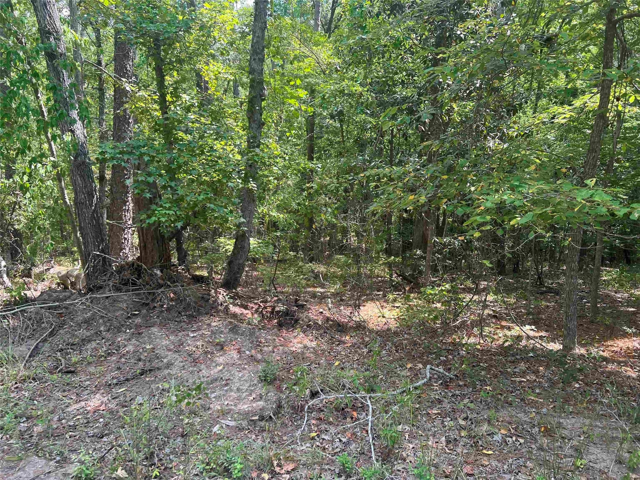 57 Shank Drive Property Photo 1