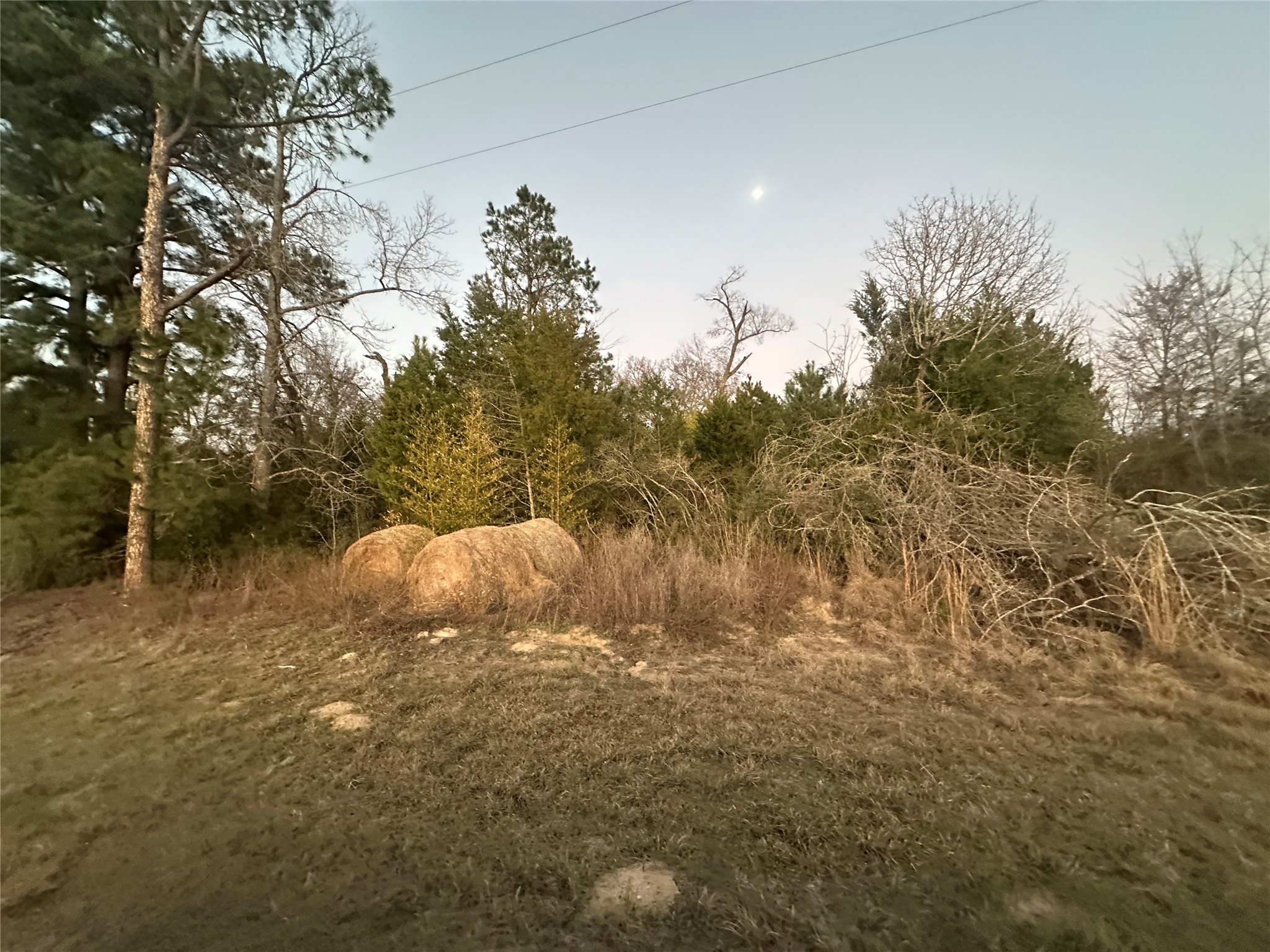 3ac County Road 443 Property Photo 4