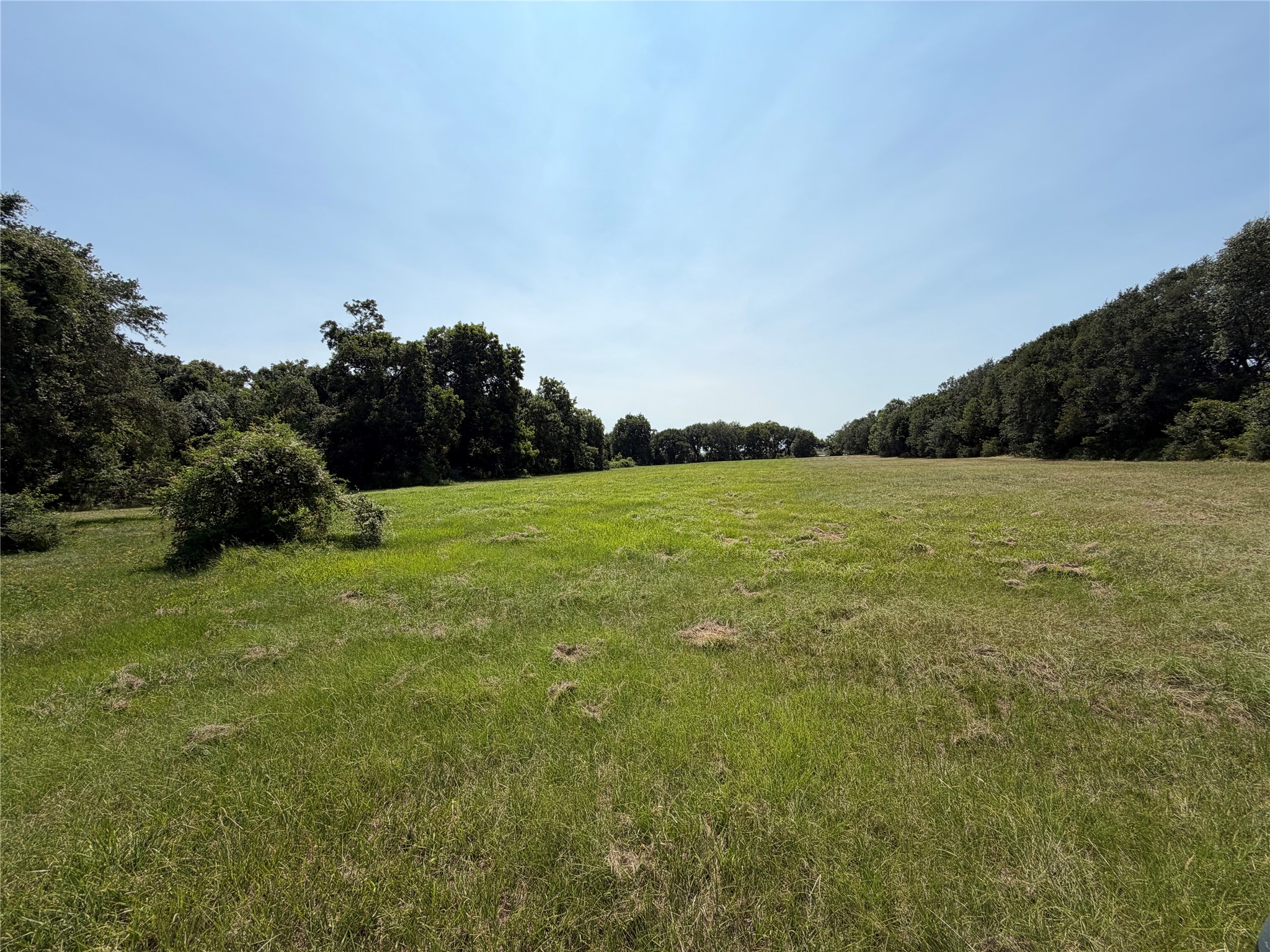 1433 Kane Lane Property Photo 2