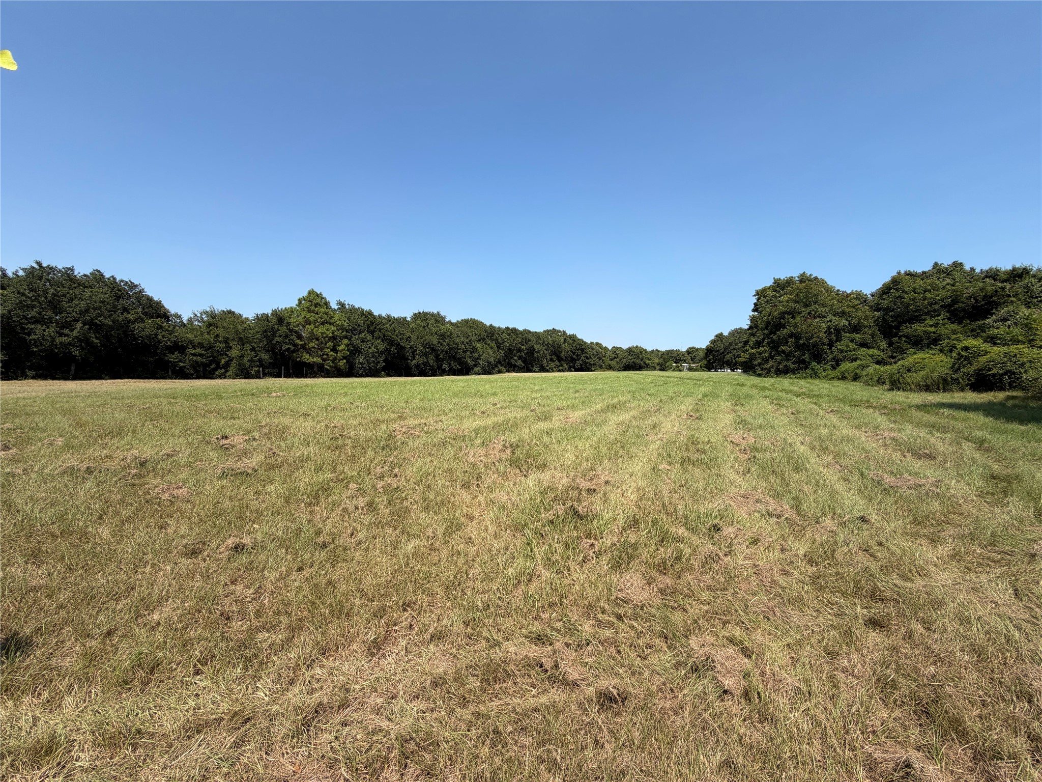 1433 Kane Lane Property Photo 3
