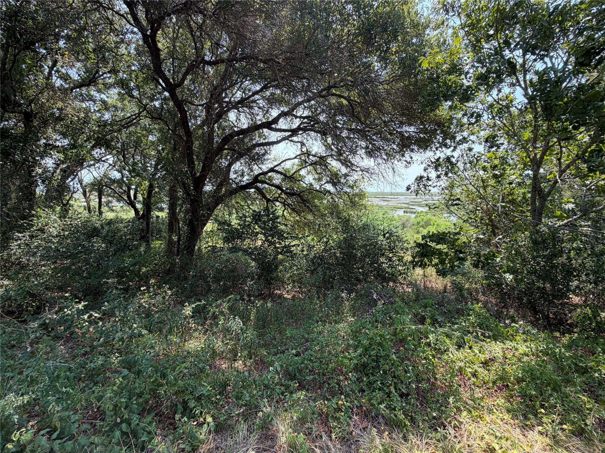 1433 Kane Lane Property Photo 4