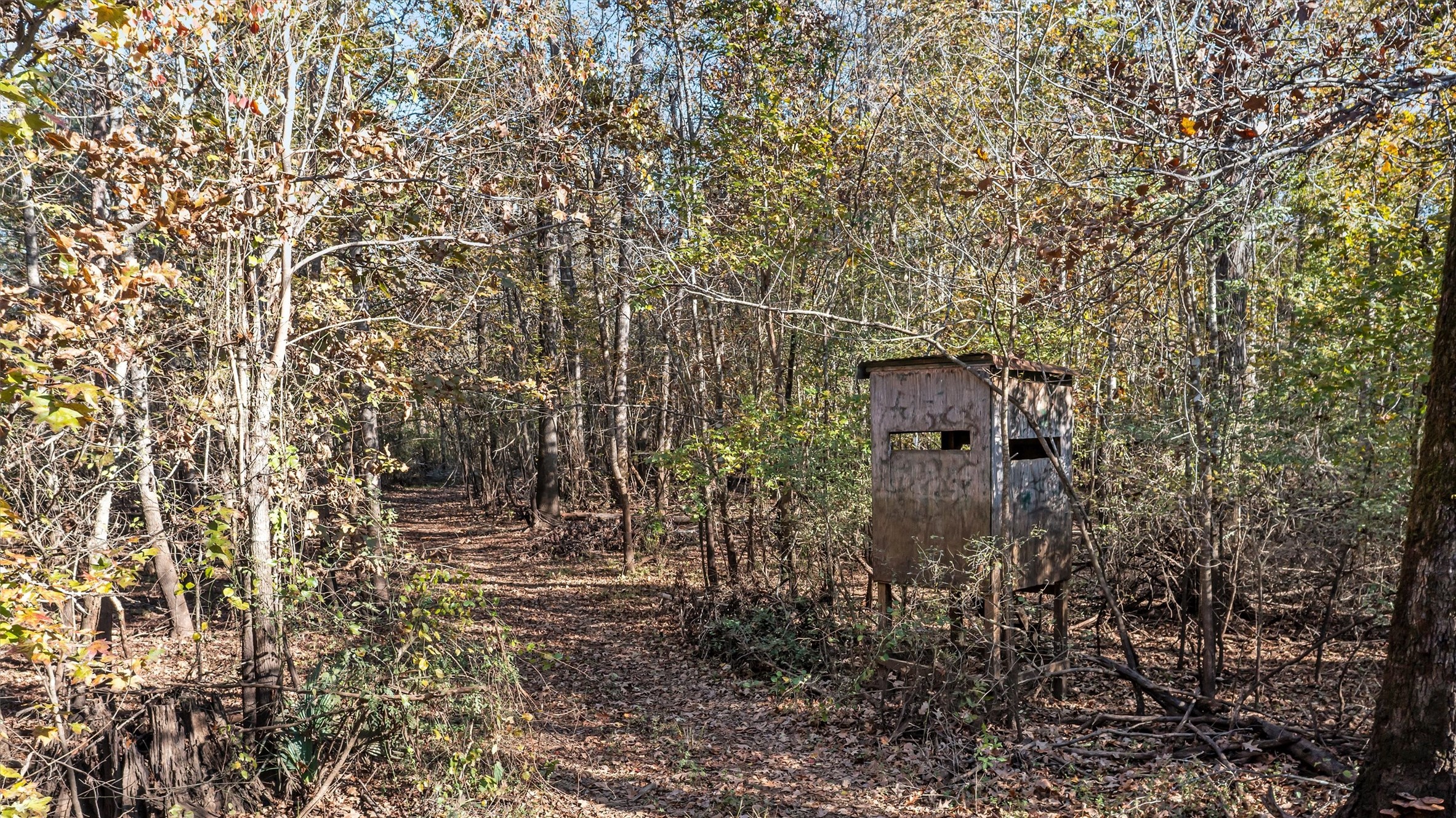 Tbd State Highway 94 Property Photo 9
