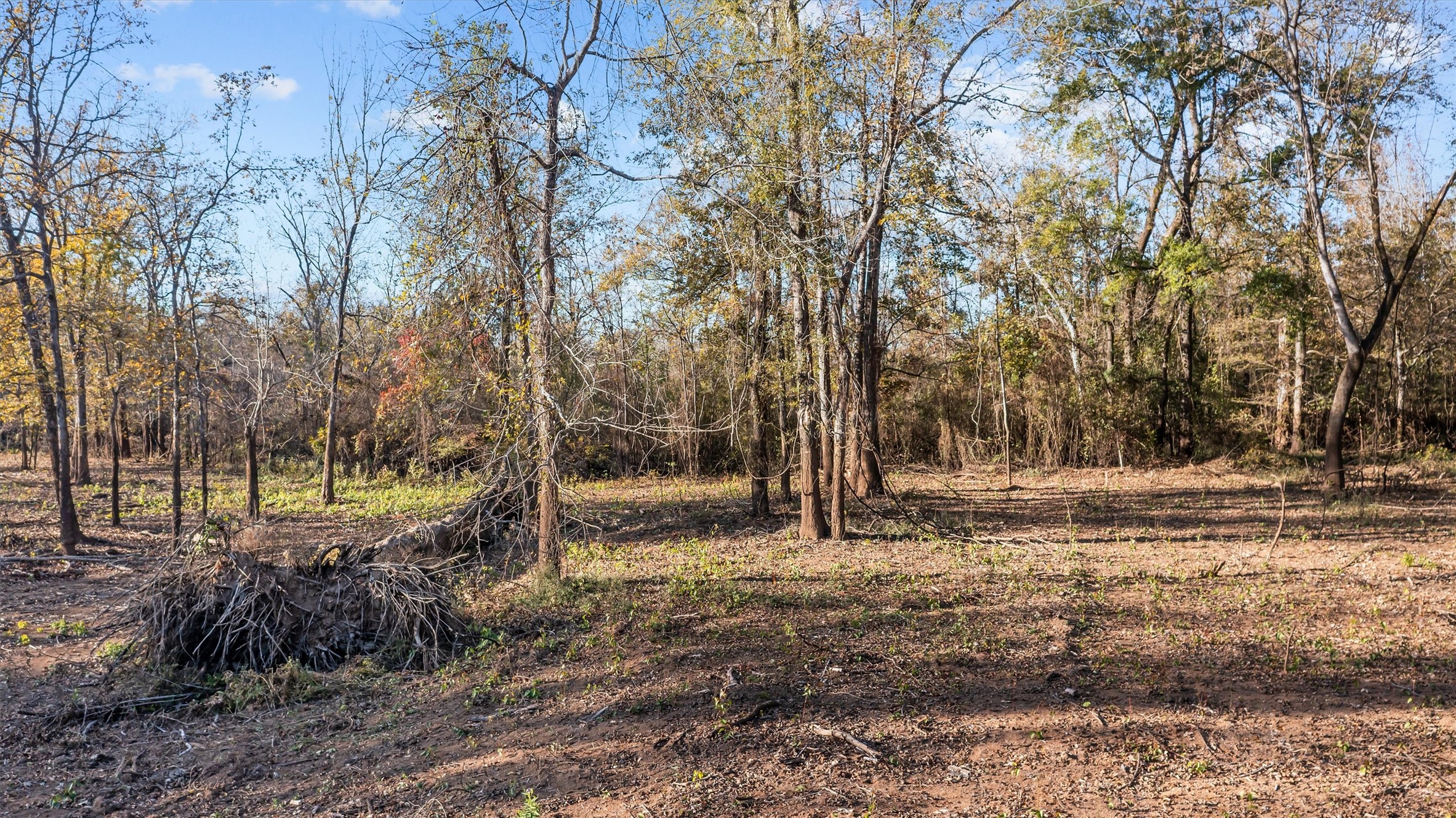 Tbd State Highway 94 Property Photo 14