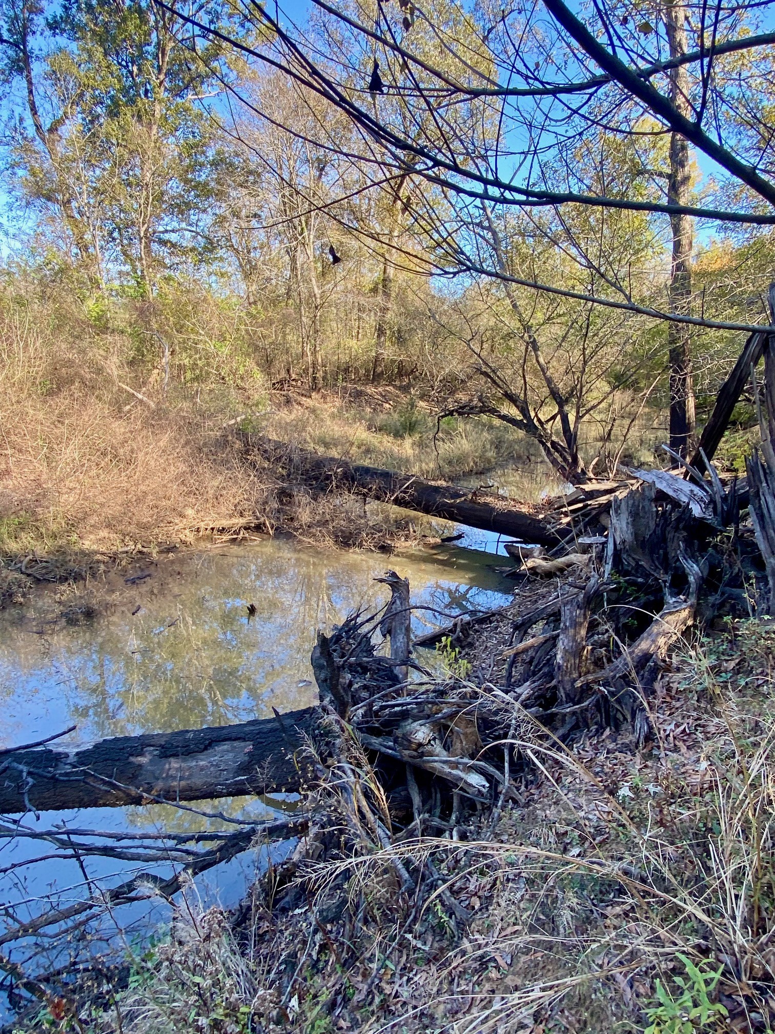 Tbd State Highway 94 Property Photo 16