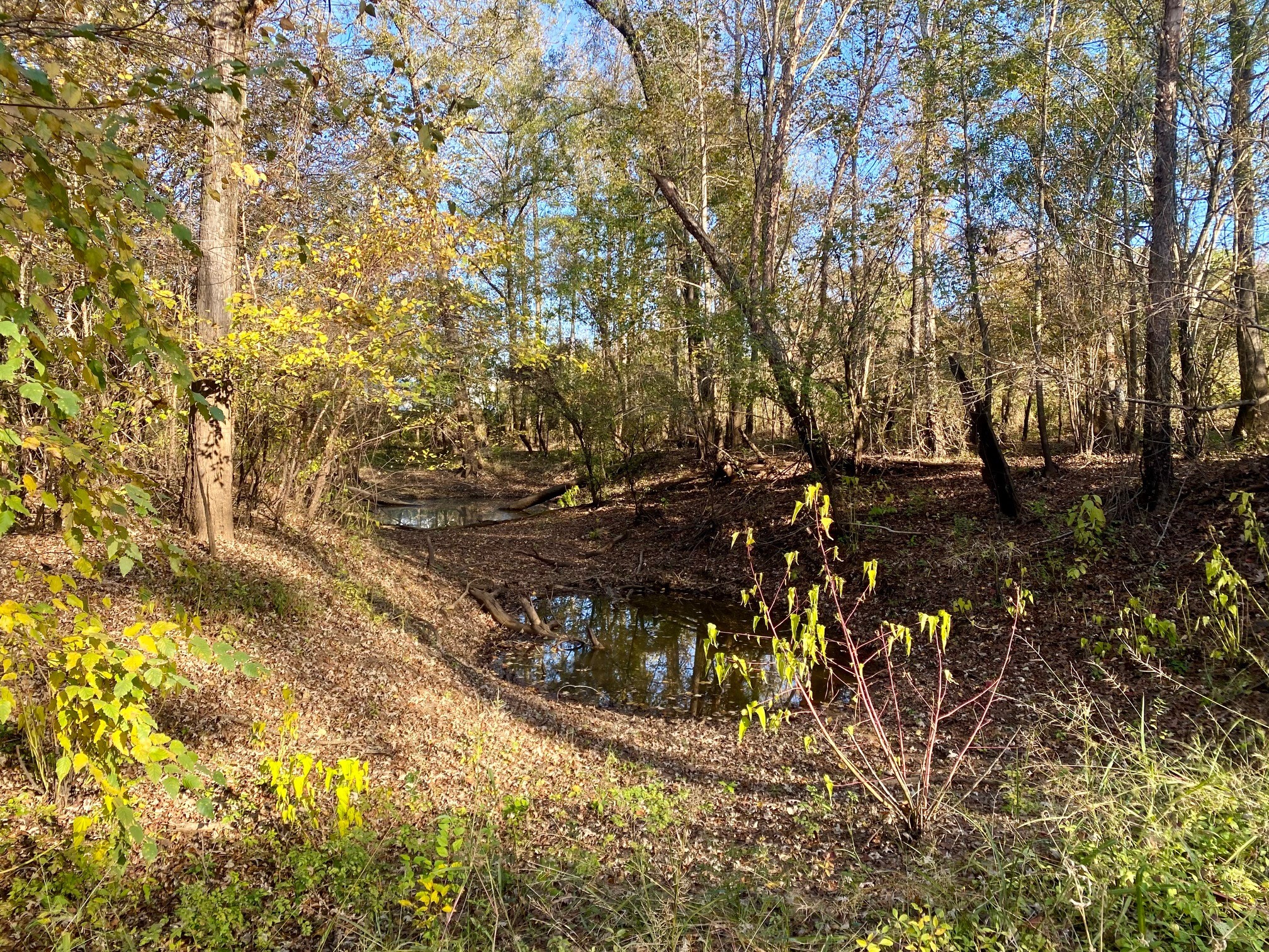 Tbd State Highway 94 Property Photo 18