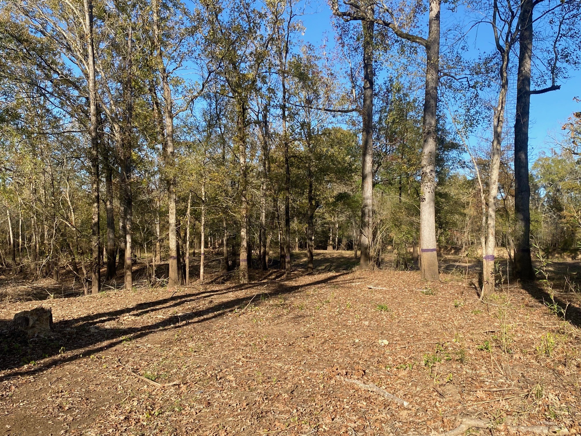 Tbd State Highway 94 Property Photo 20
