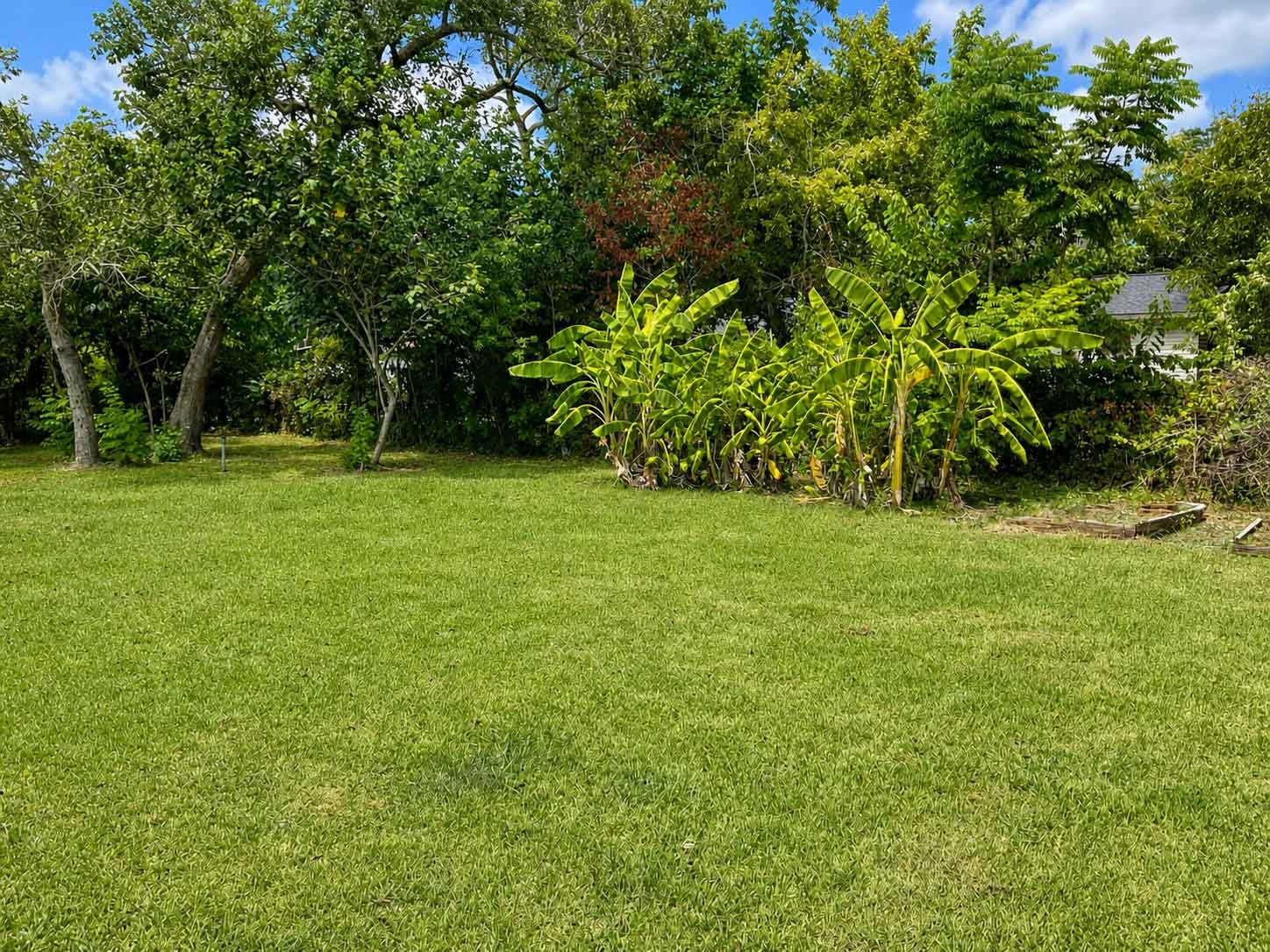 1156 2nd Street Property Photo 12