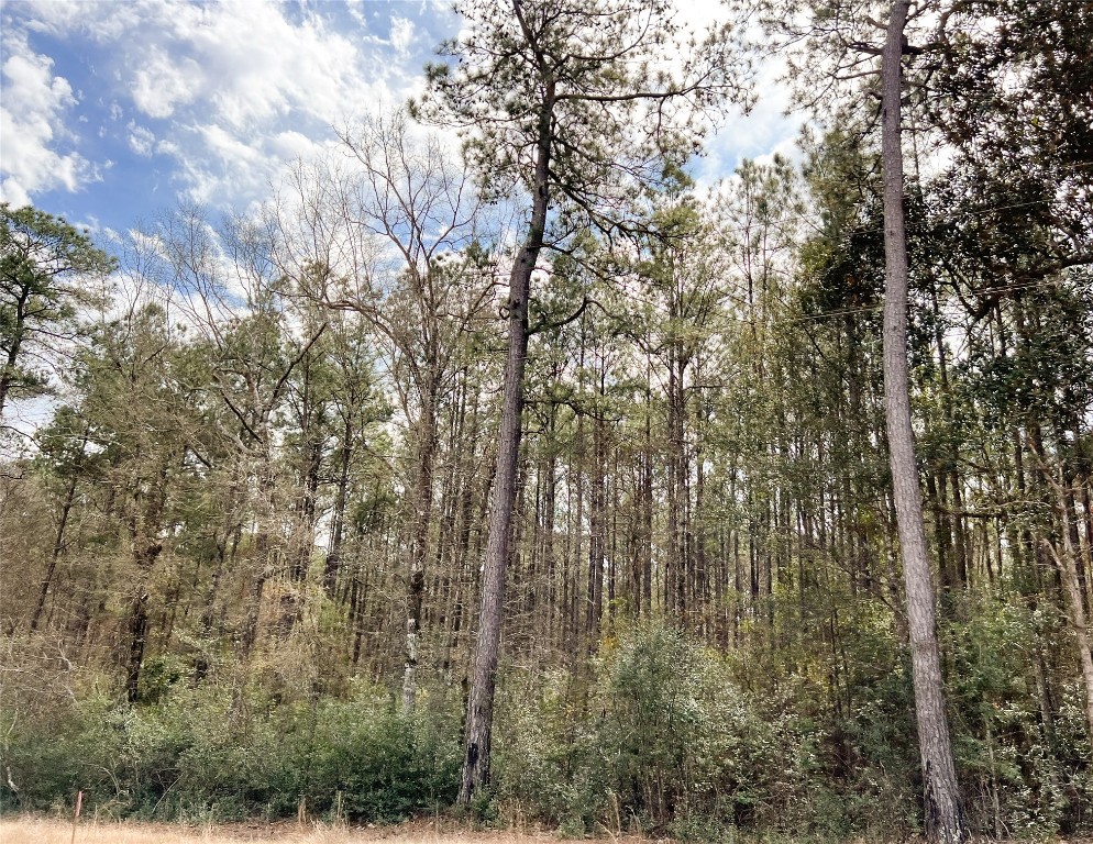 7 Fm 1746 Property Photo 6