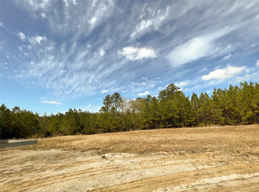 7 Fm 1746 Property Photo 7