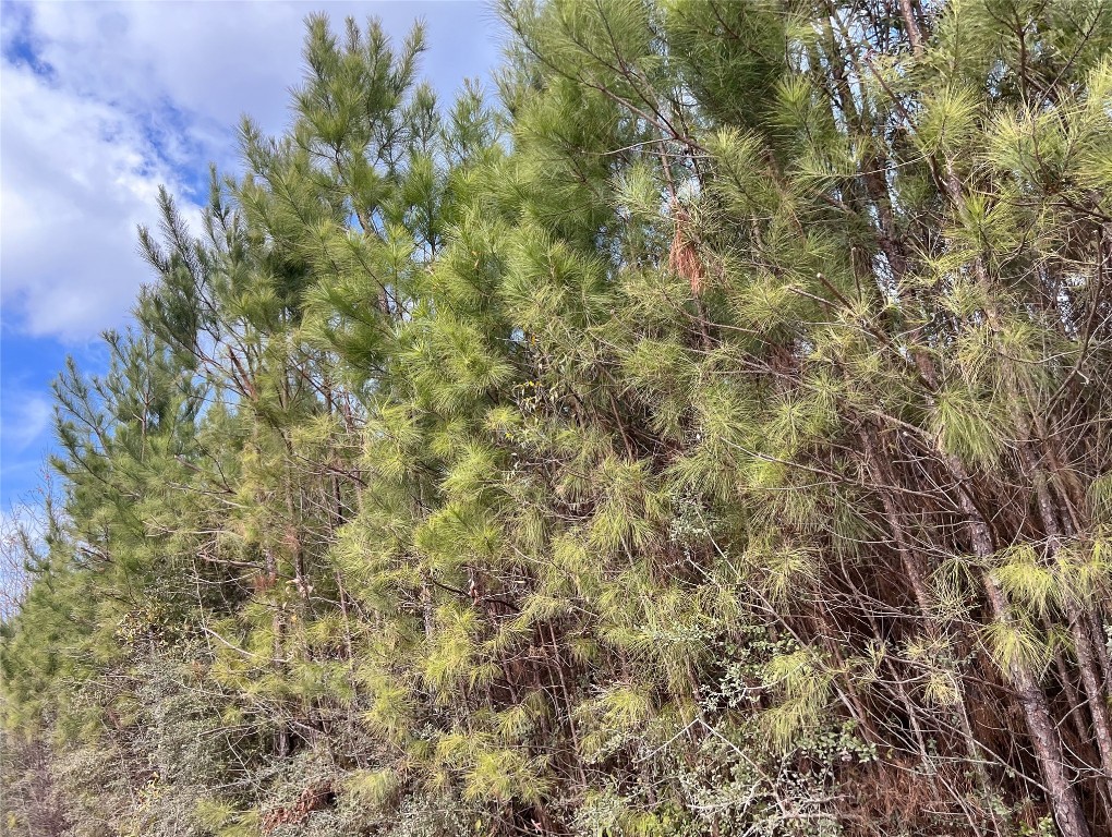 7 Fm 1746 Property Photo 10