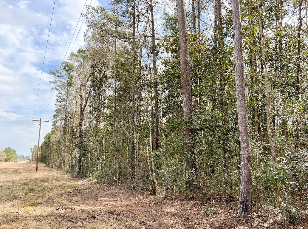 7 Fm 1746 Property Photo 15