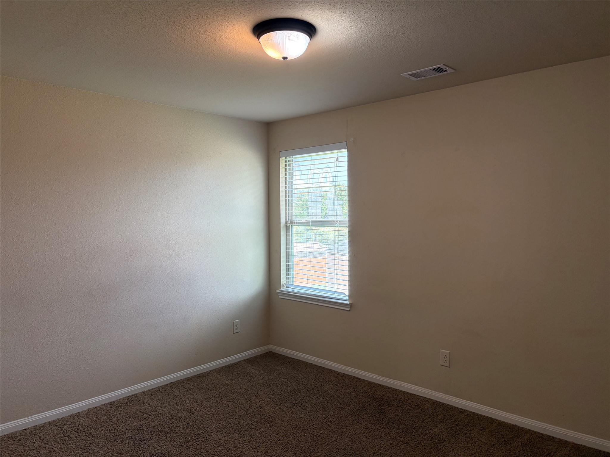 19419 Bronte Springs Court Property Photo 18