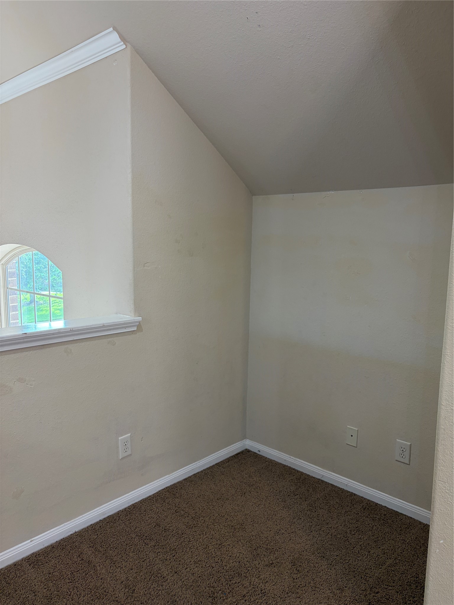 19419 Bronte Springs Court Property Photo 22