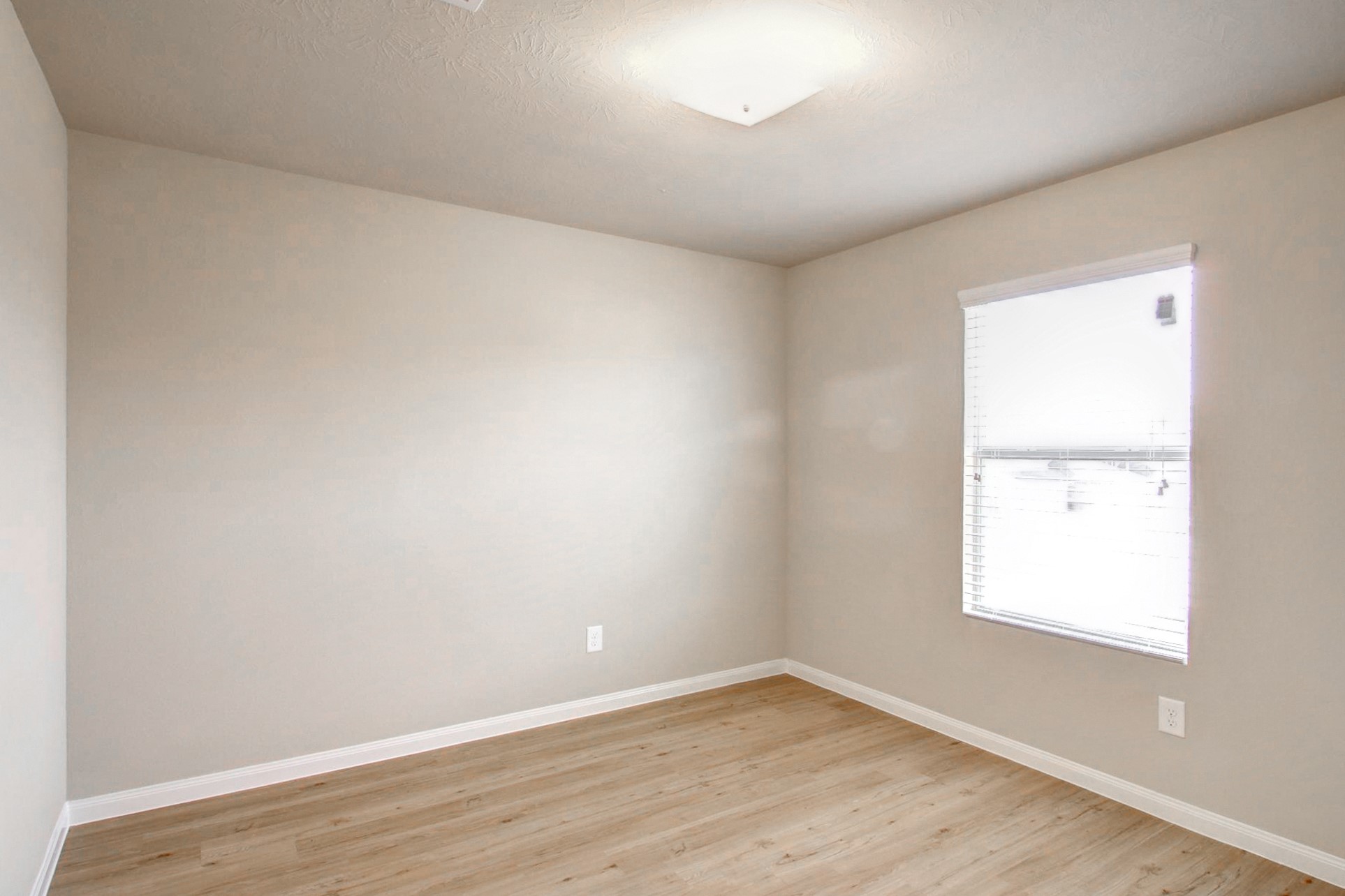 2403 Thorney Court Property Photo 11