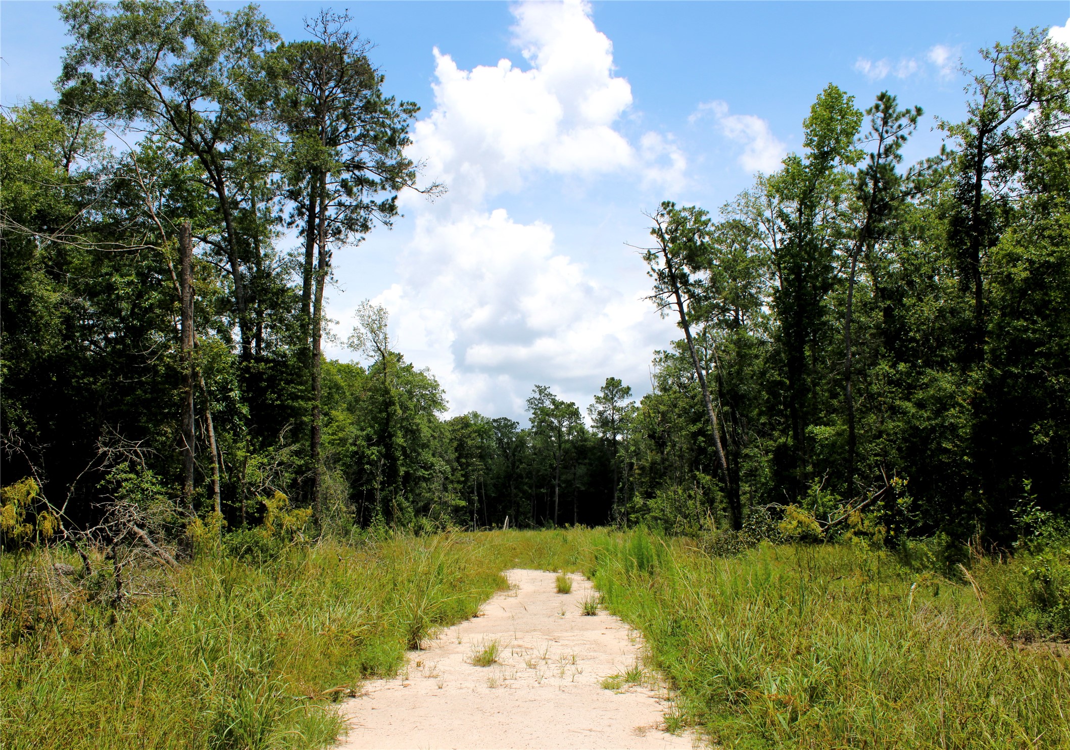 12425 Picos Road Property Photo 1