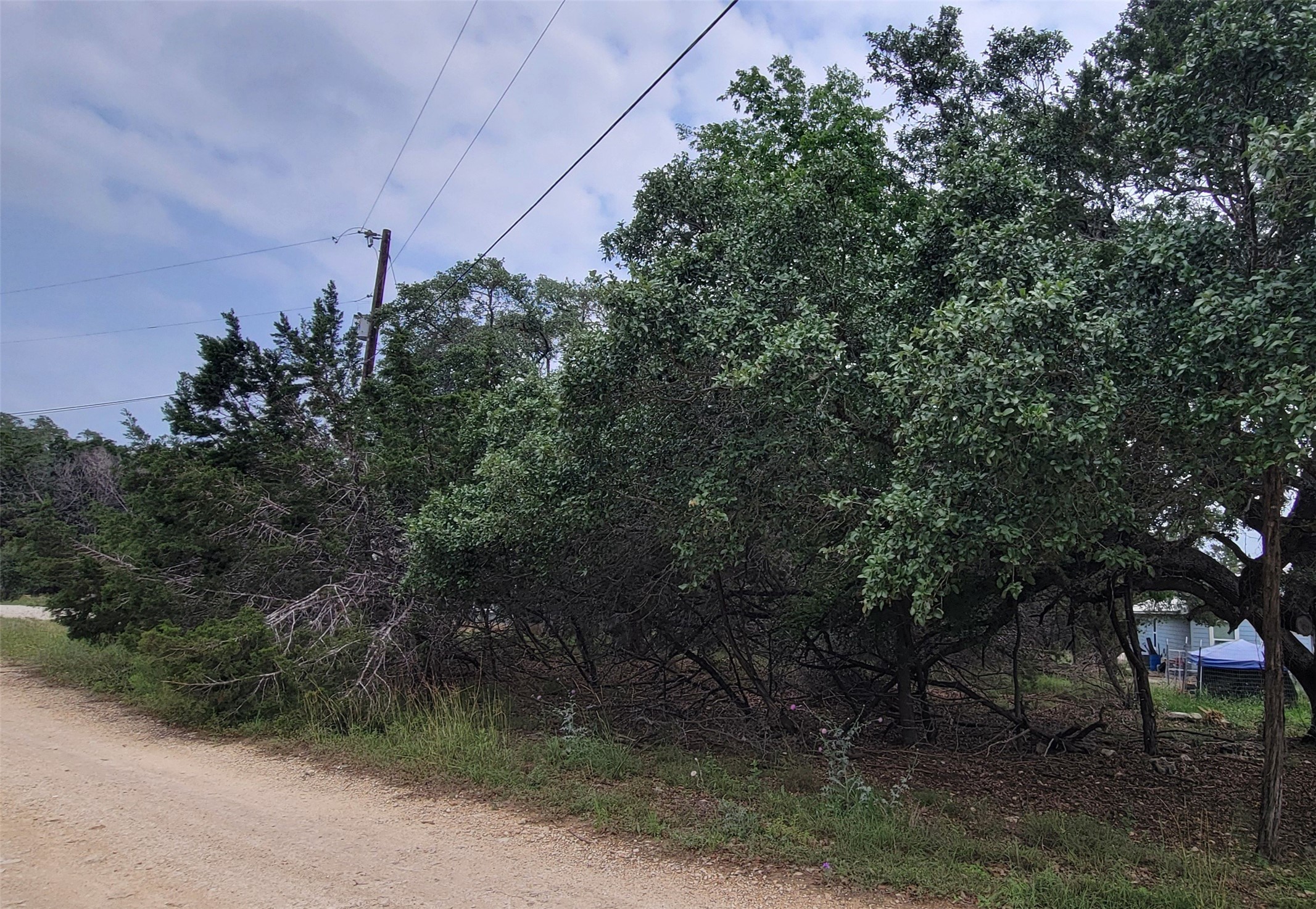 1391 Covered Wagon Property Photo 2