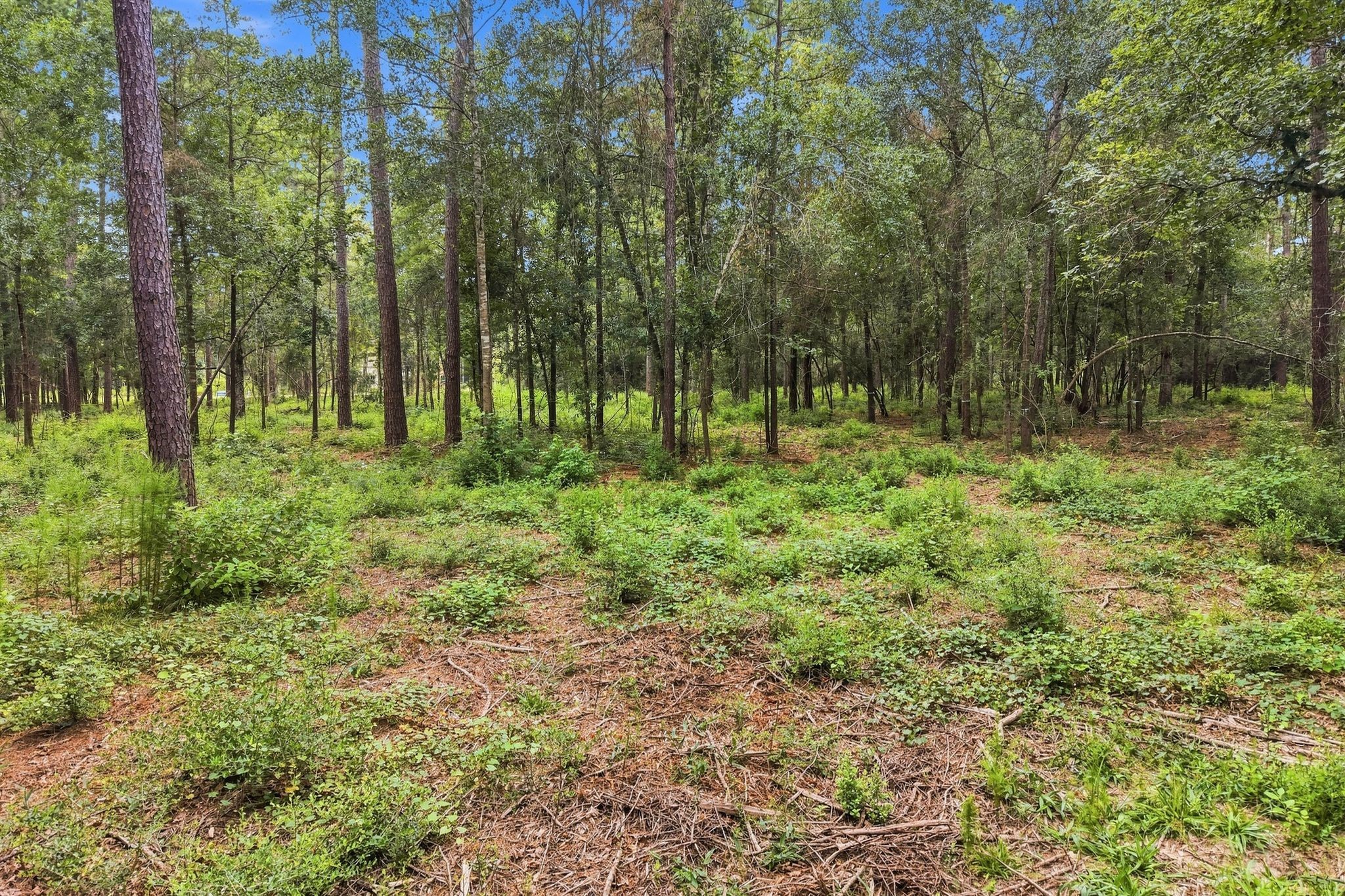15890 Four Hills Road Property Photo 5