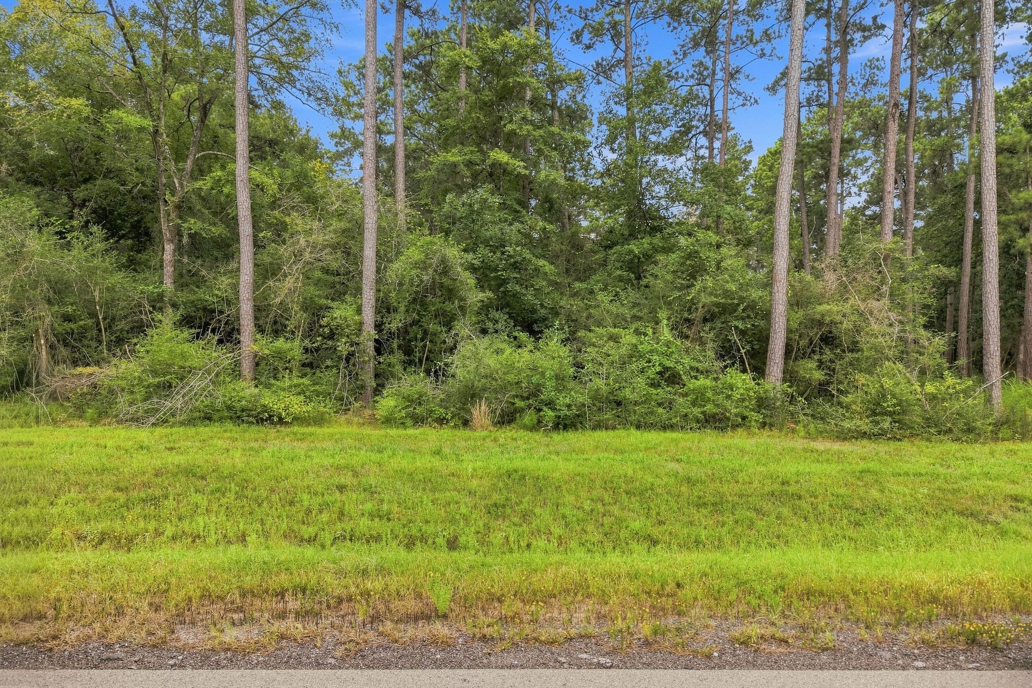 15890 Four Hills Road Property Photo 8