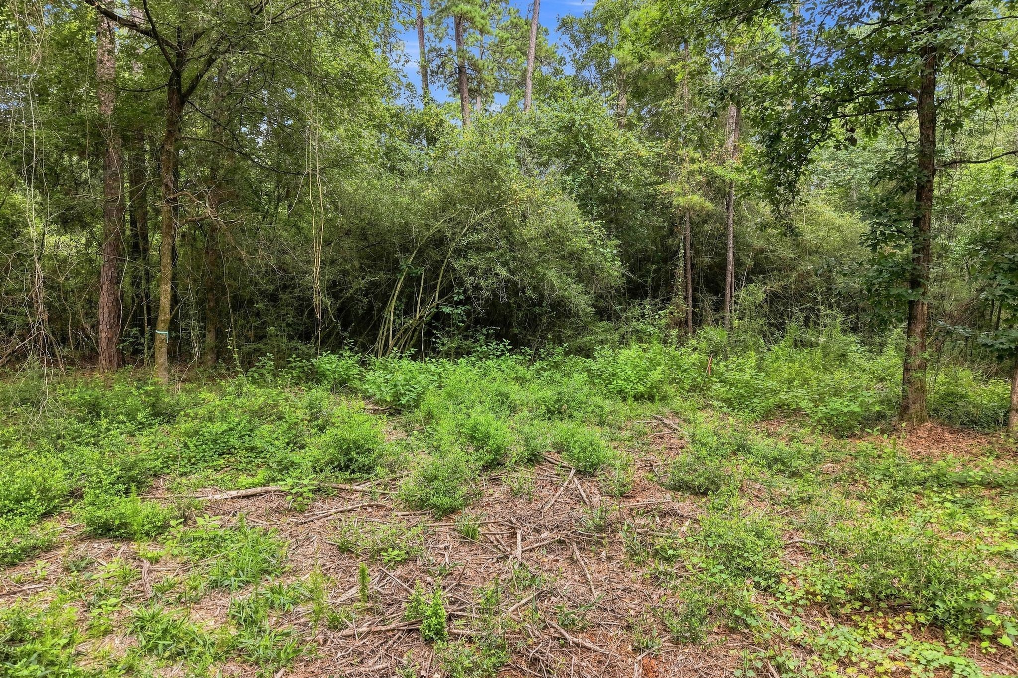 15890 Four Hills Road Property Photo 10