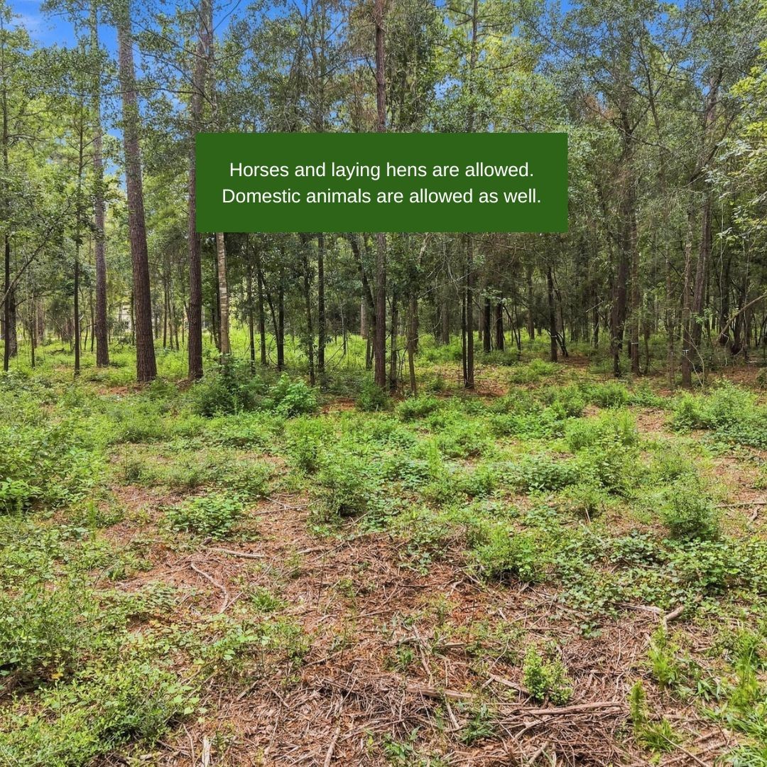 15890 Four Hills Road Property Photo 12