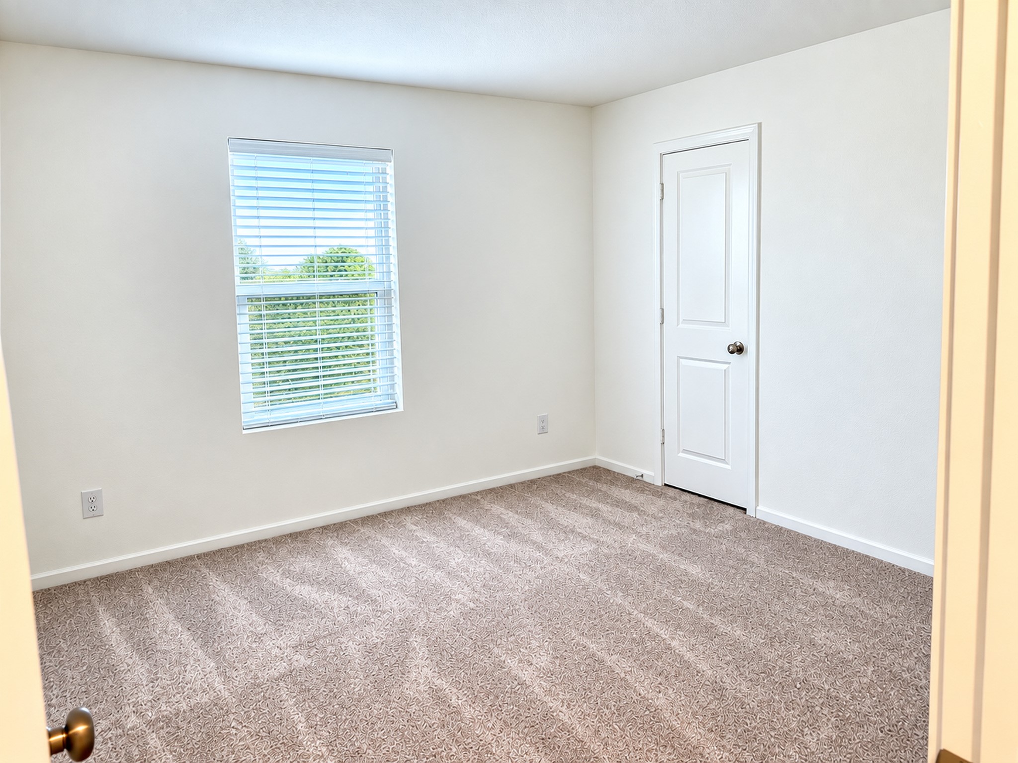 5934 Morning Fern Lane Property Photo 14