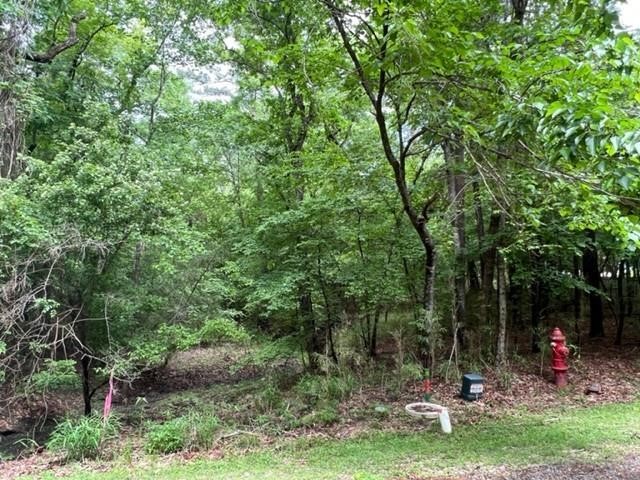 59 S Pine Harbour Drive Property Photo 1