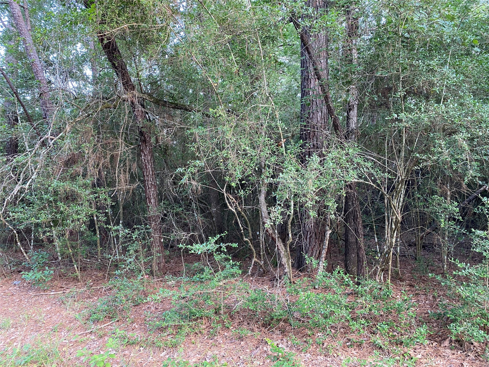 Tbd Greenway Drive Property Photo 3