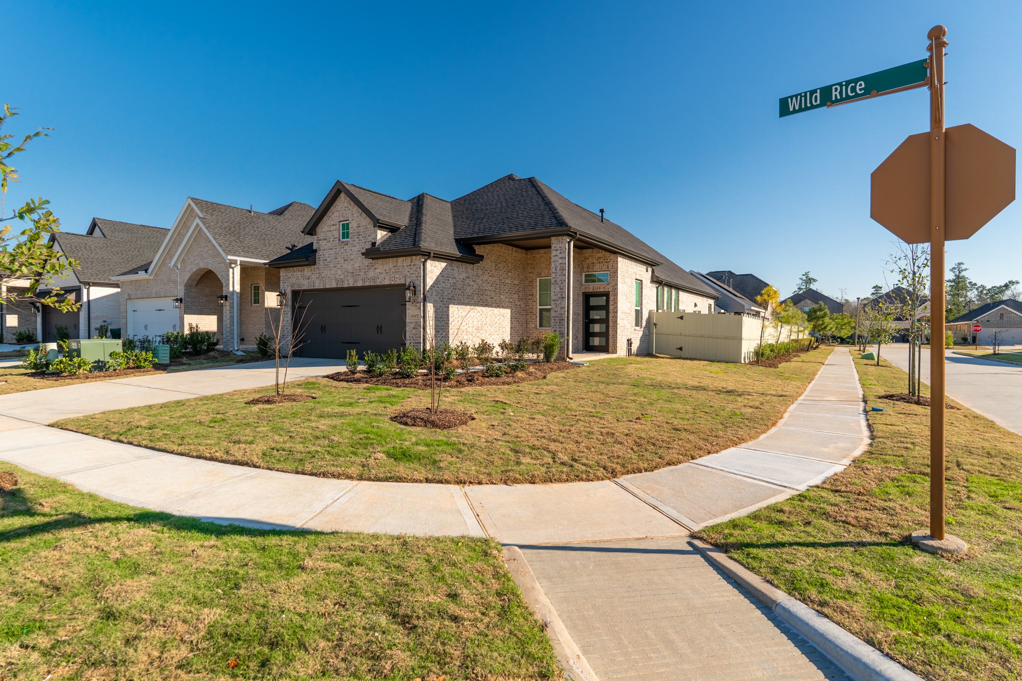 10472 Wild Rice Street Property Photo 32
