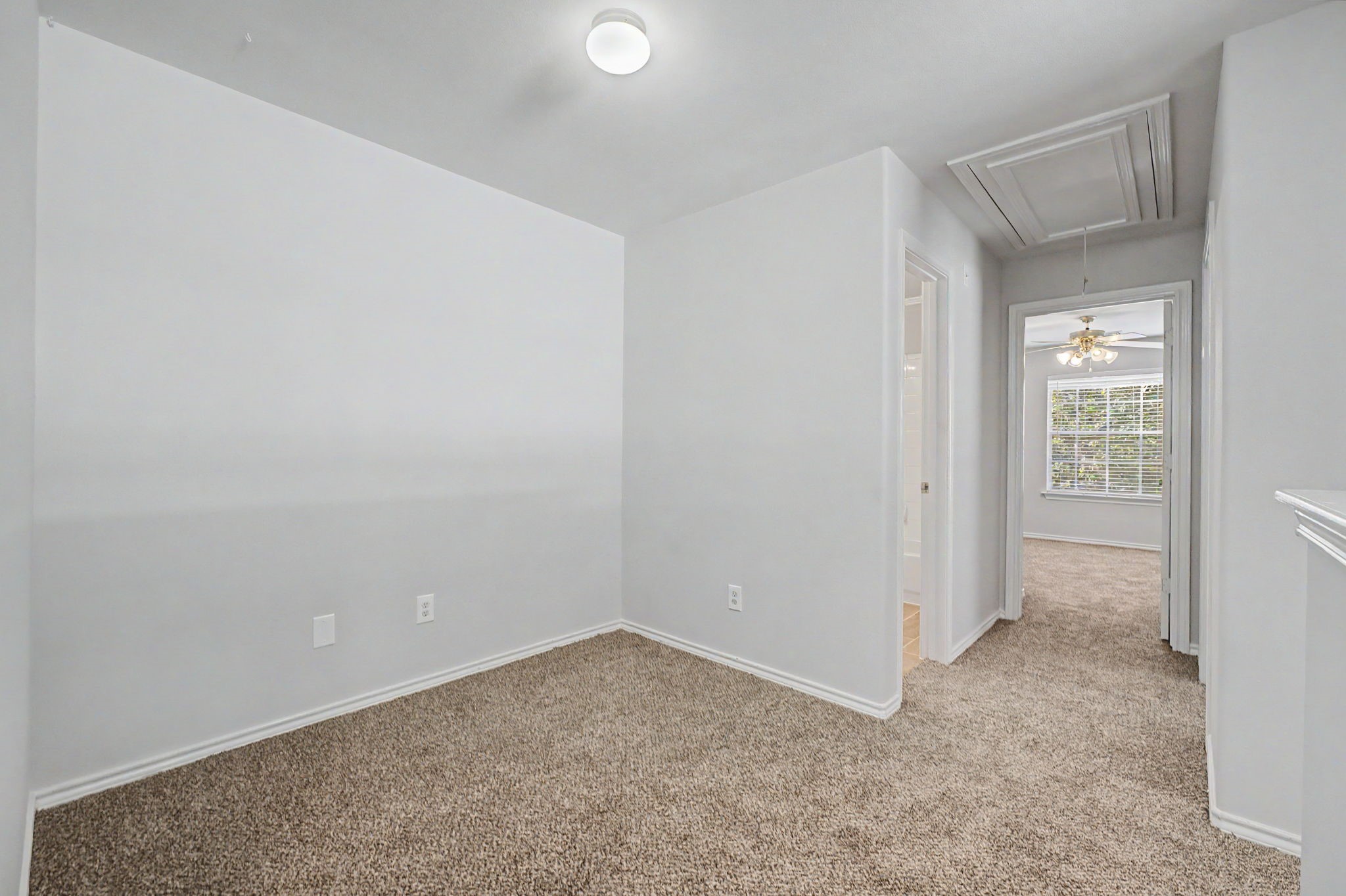 43 S Camellia Grove Circle Property Photo 23