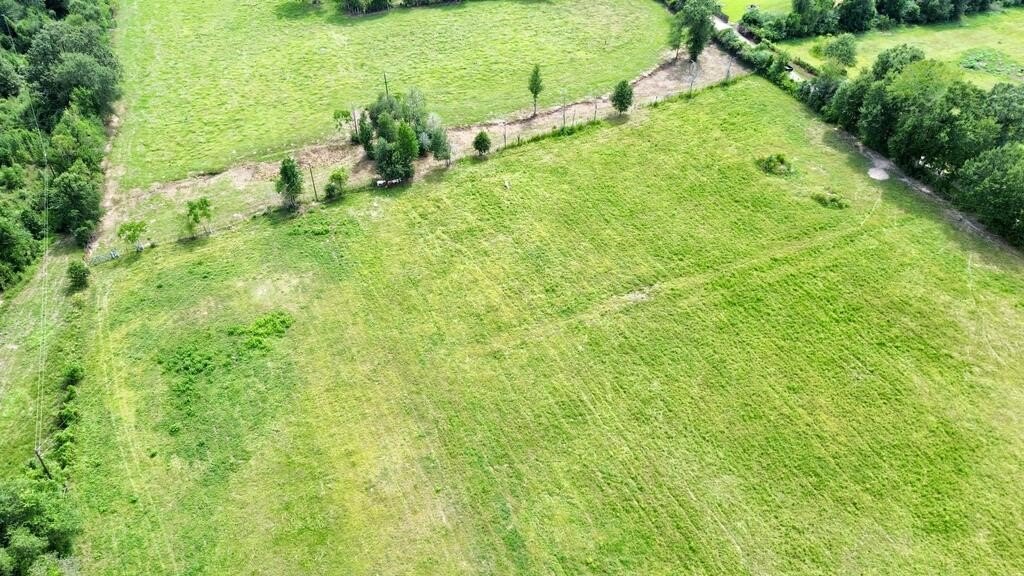 10.4ac County Road 622 Property Photo 4
