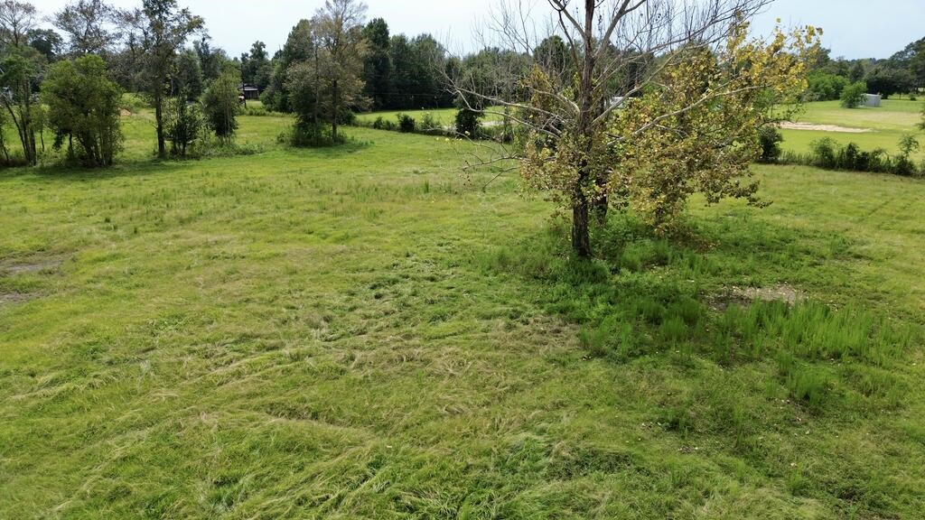 10.4ac County Road 622 Property Photo 9