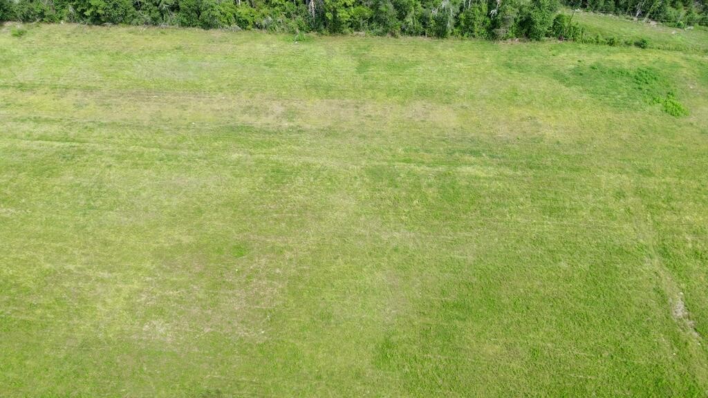 10.4ac County Road 622 Property Photo 15