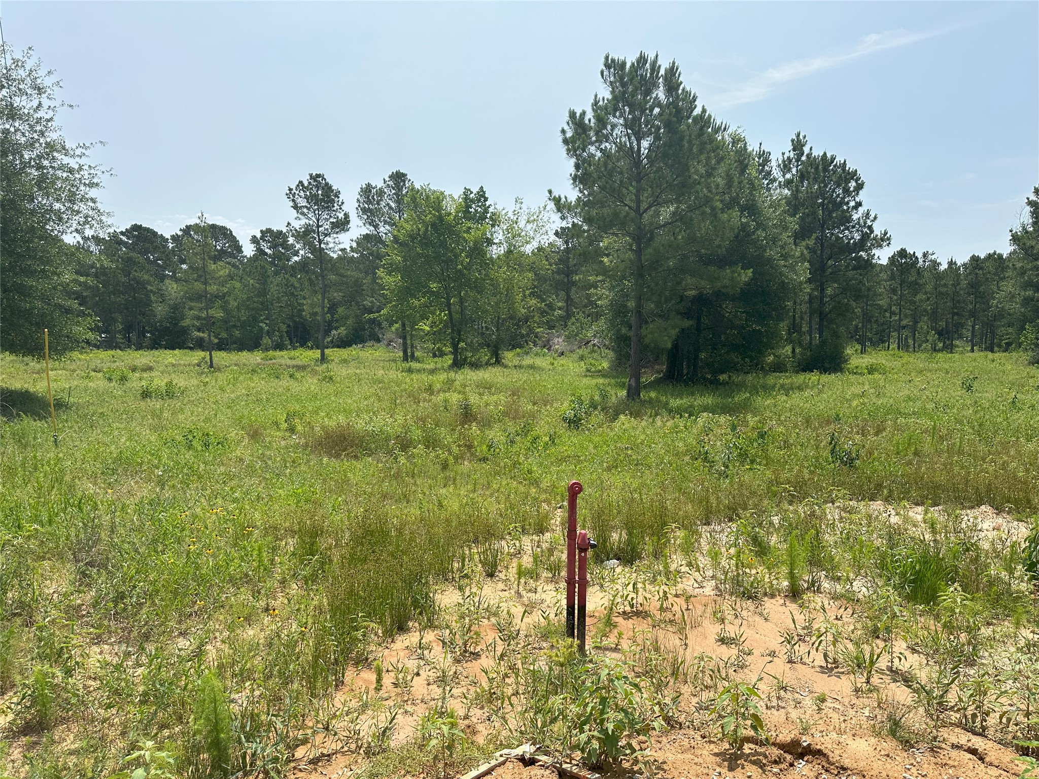 31839 Boone Road Property Photo 13
