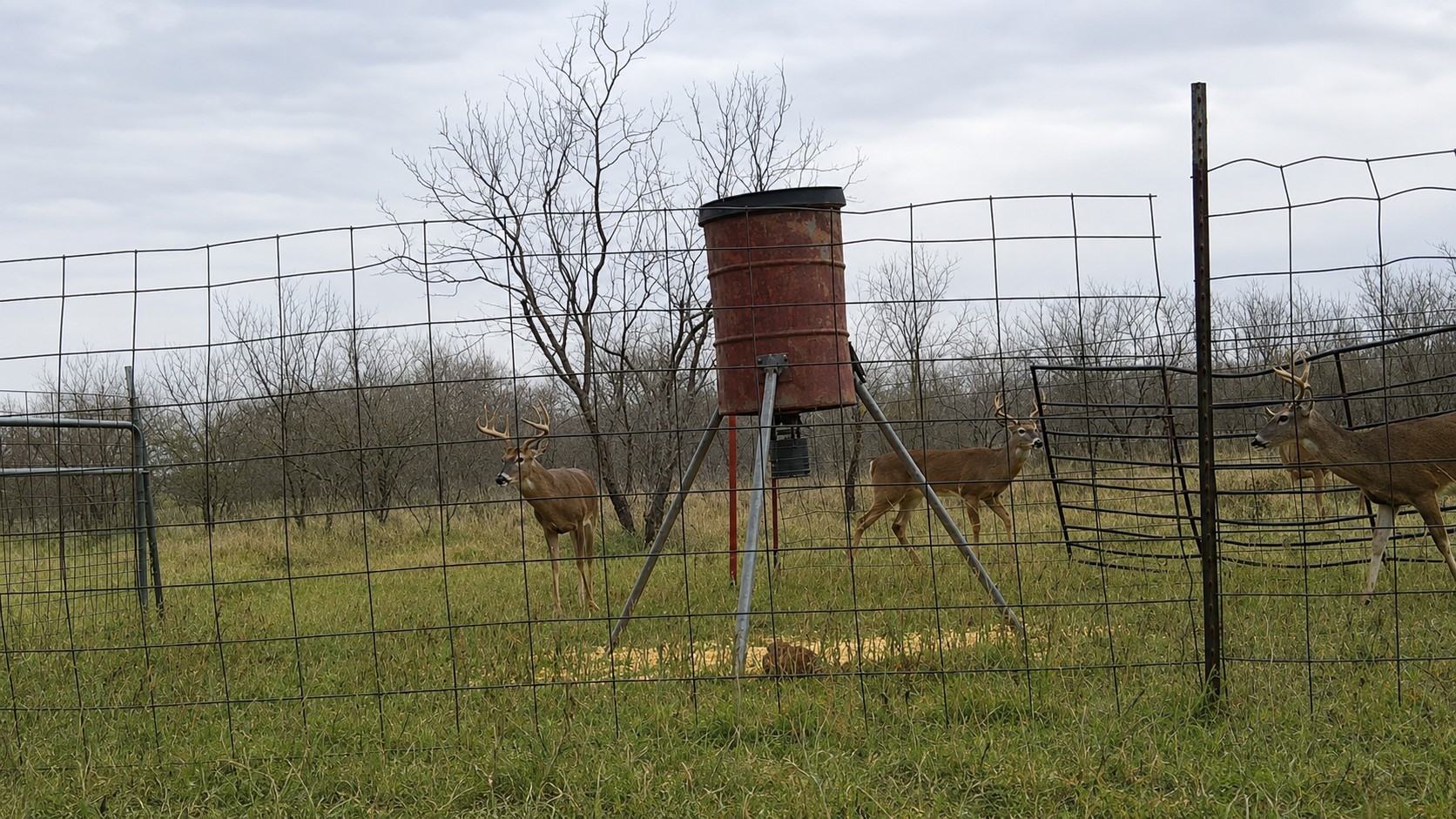 851 Cr 450 Property Photo 2