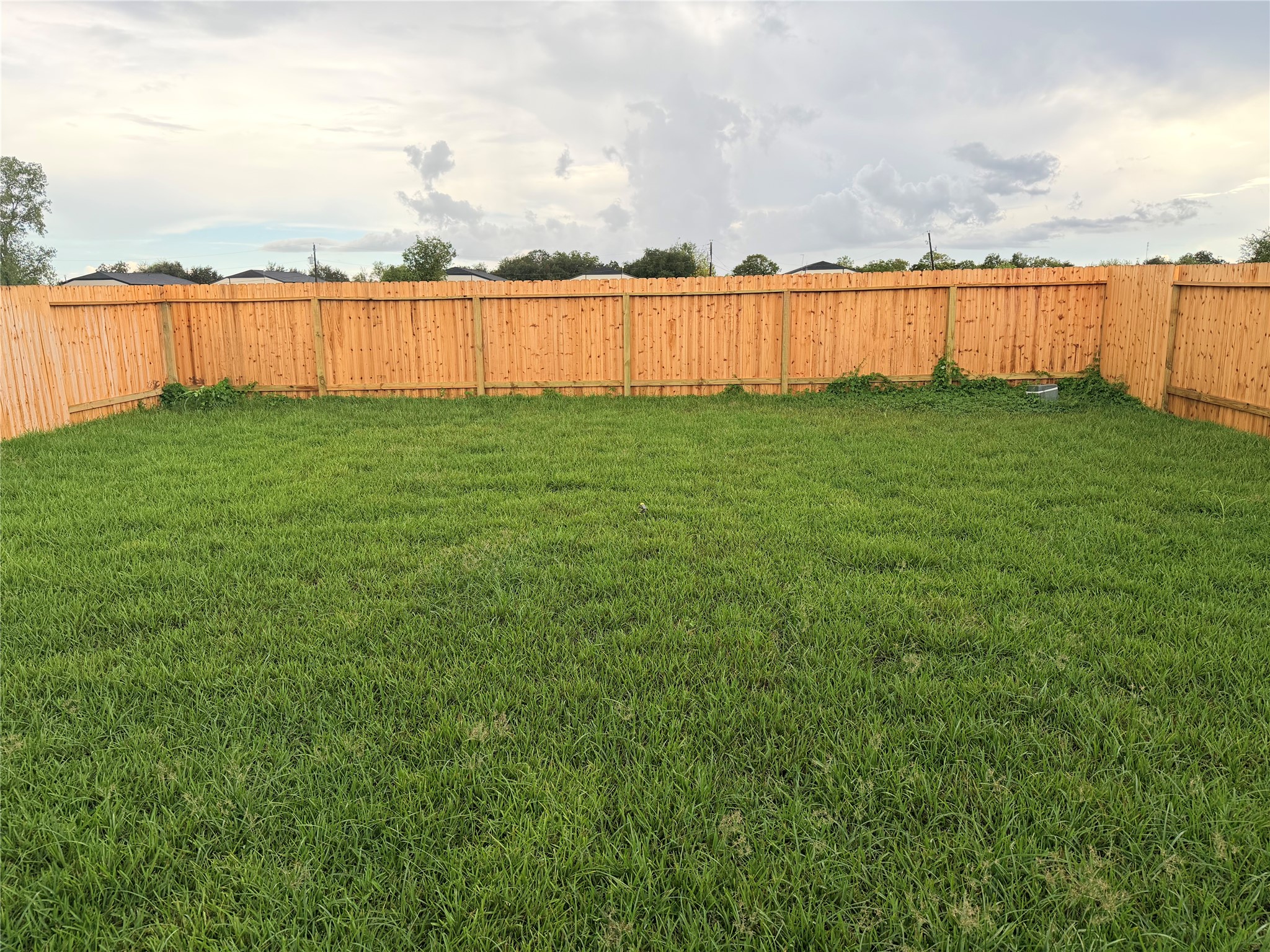 1308 Wharton Lakes Boulevard Property Photo 12