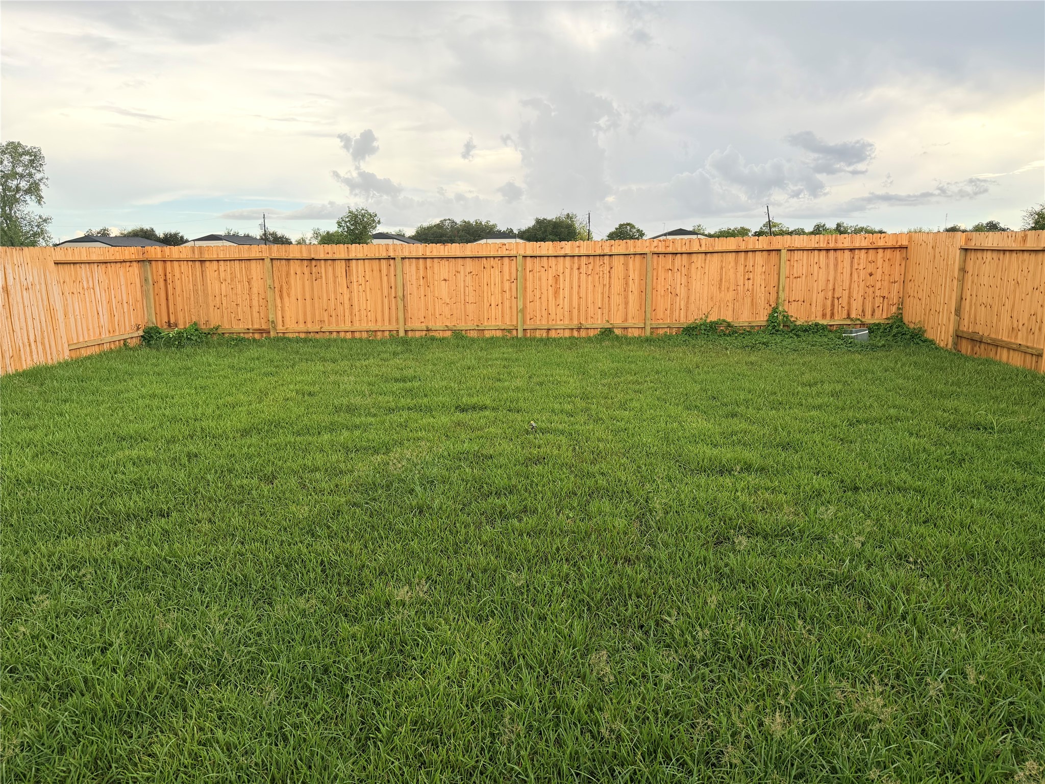 1308 Wharton Lakes Boulevard Property Photo 13