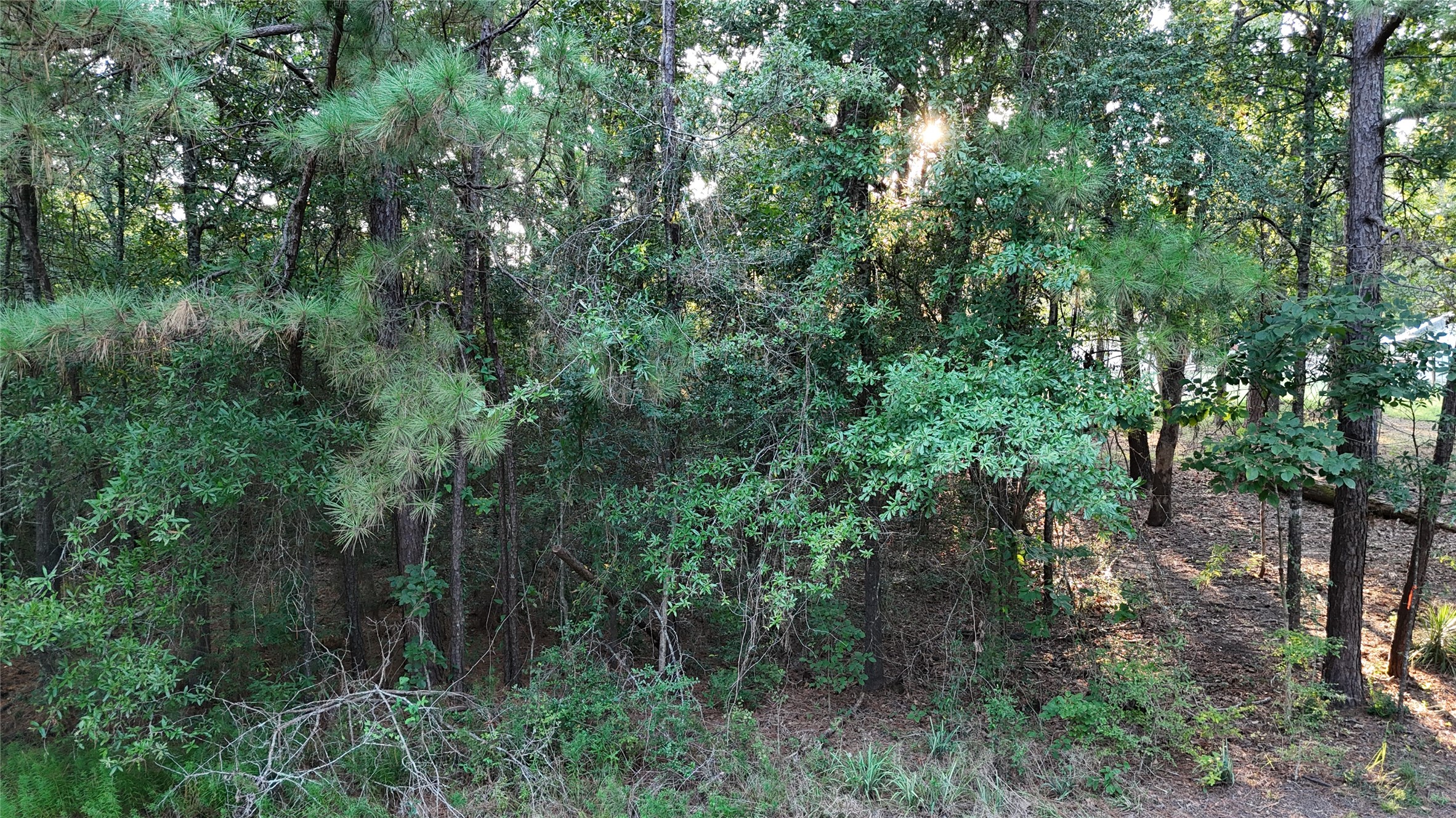 Tbd Whiteside Drive Property Photo 7