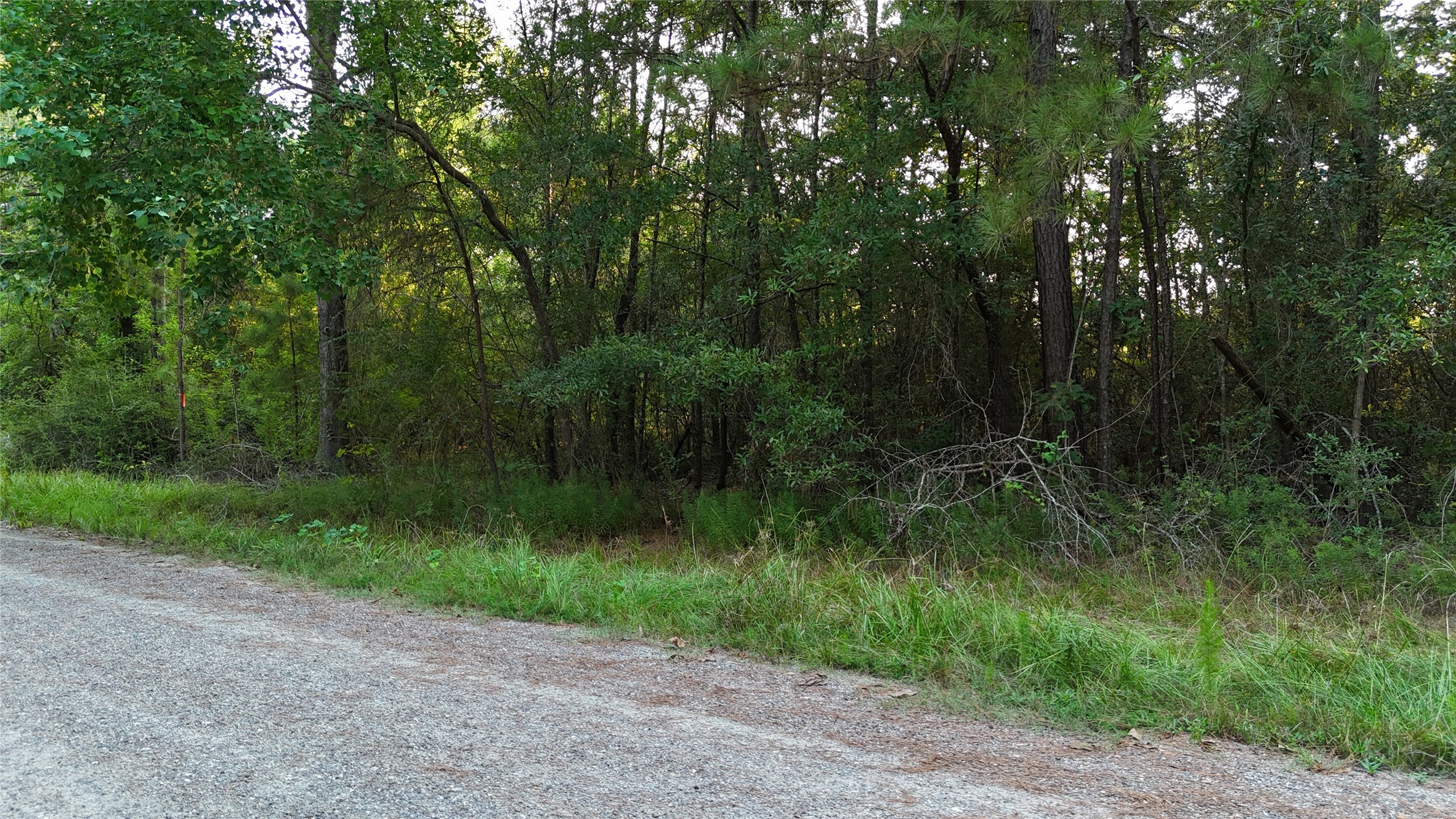 Tbd Whiteside Drive Property Photo 9