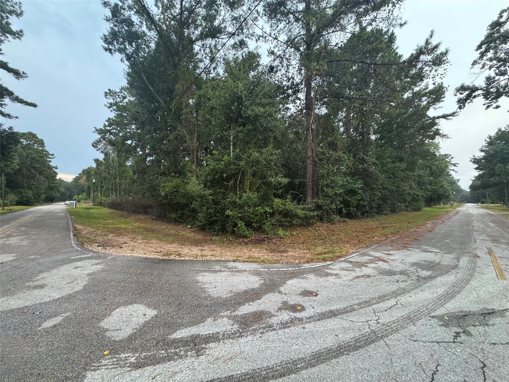 343 Wild Oak Drive Property Photo 4