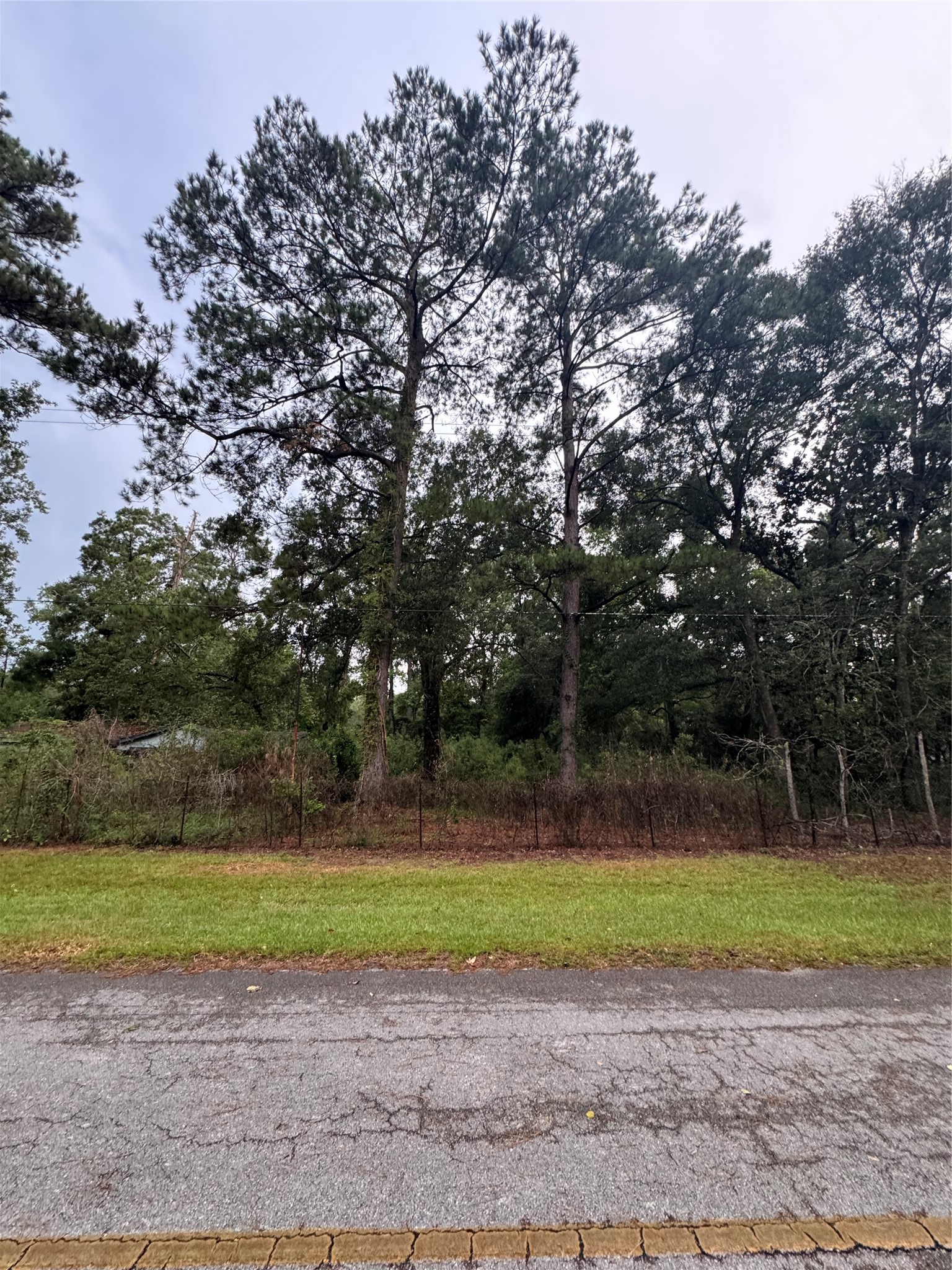 343 Wild Oak Drive Property Photo 10