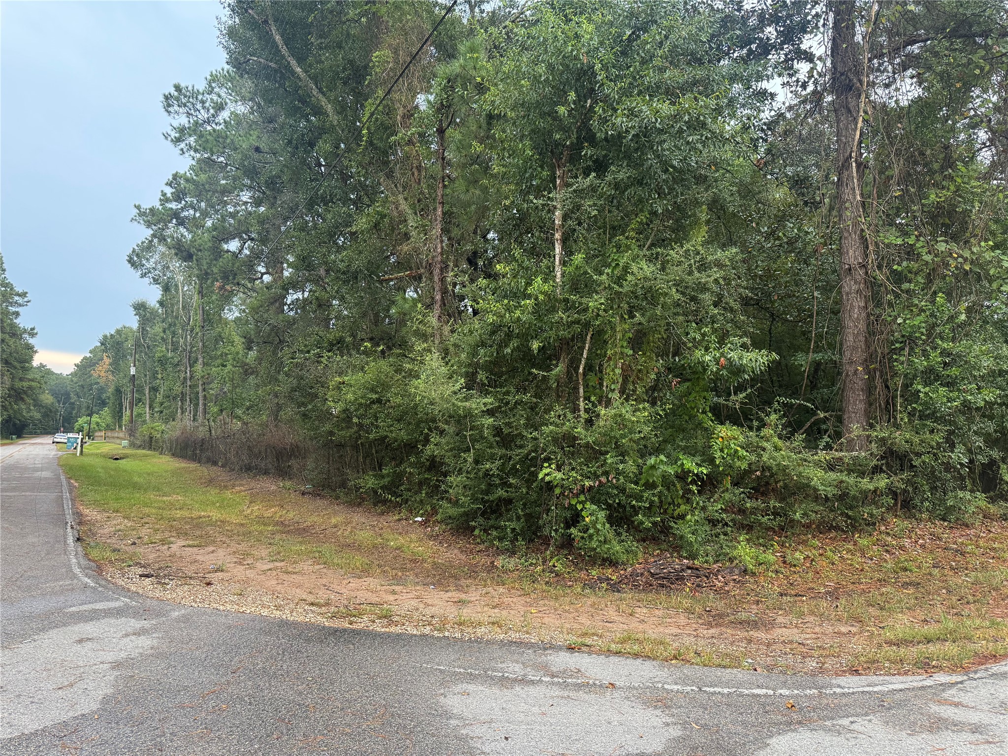 343 Wild Oak Drive Property Photo 12