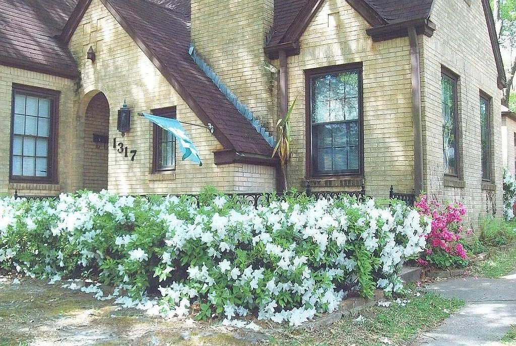 1317 Sneed Drive Property Photo 2