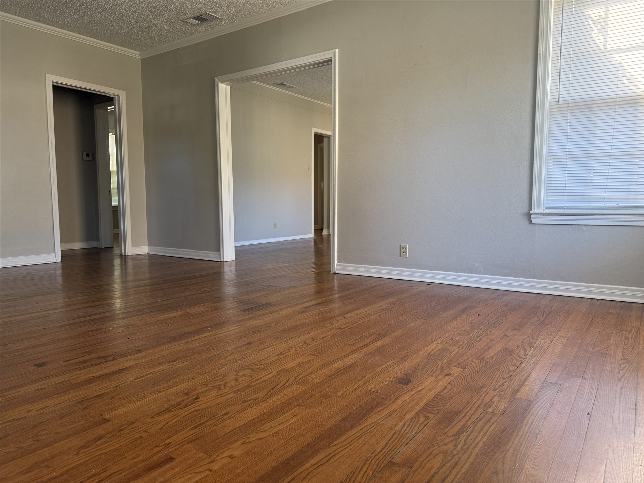 1317 Sneed Drive Property Photo 6